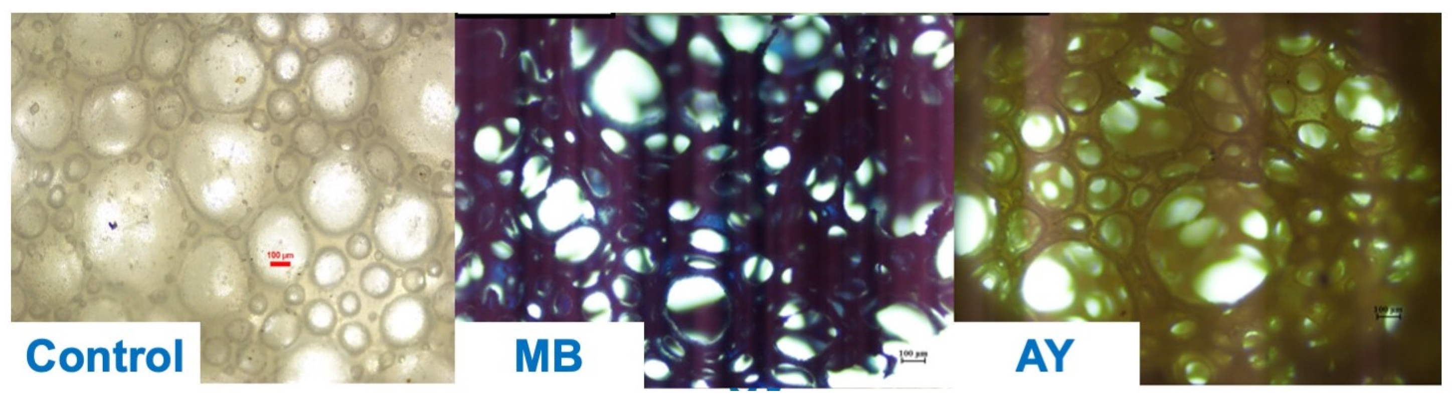 Polymers 17 00106 g007