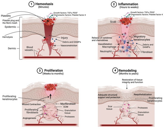 Polymers 17 00108 g001