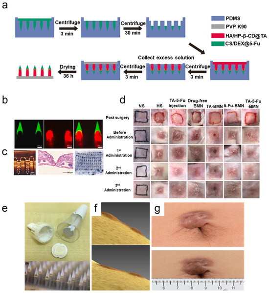 Polymers 17 00108 g004