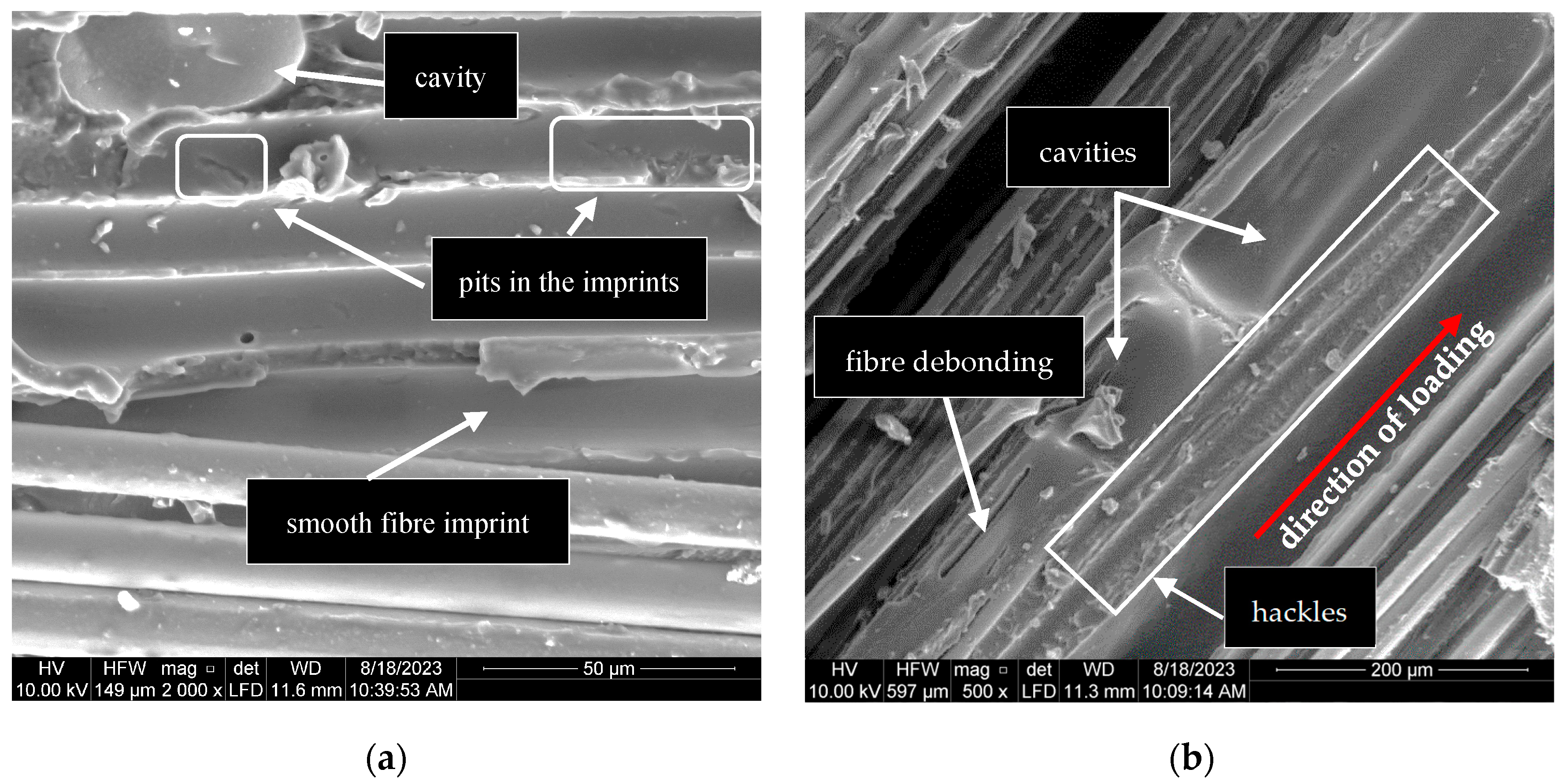 Polymers 17 00132 g017 Polymers 17 00132 g017