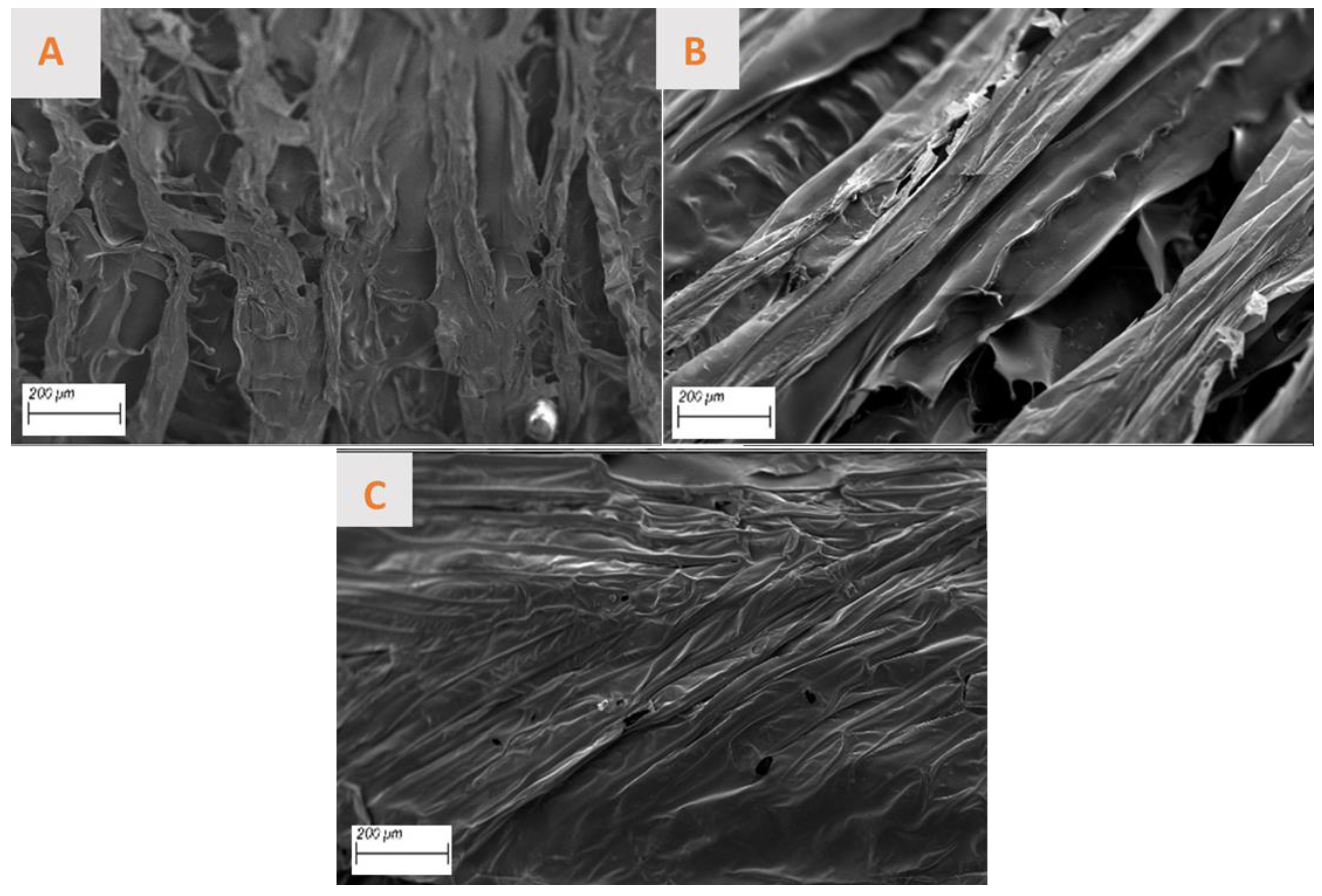 Polymers 17 00133 g004 Polymers 17 00133 g004