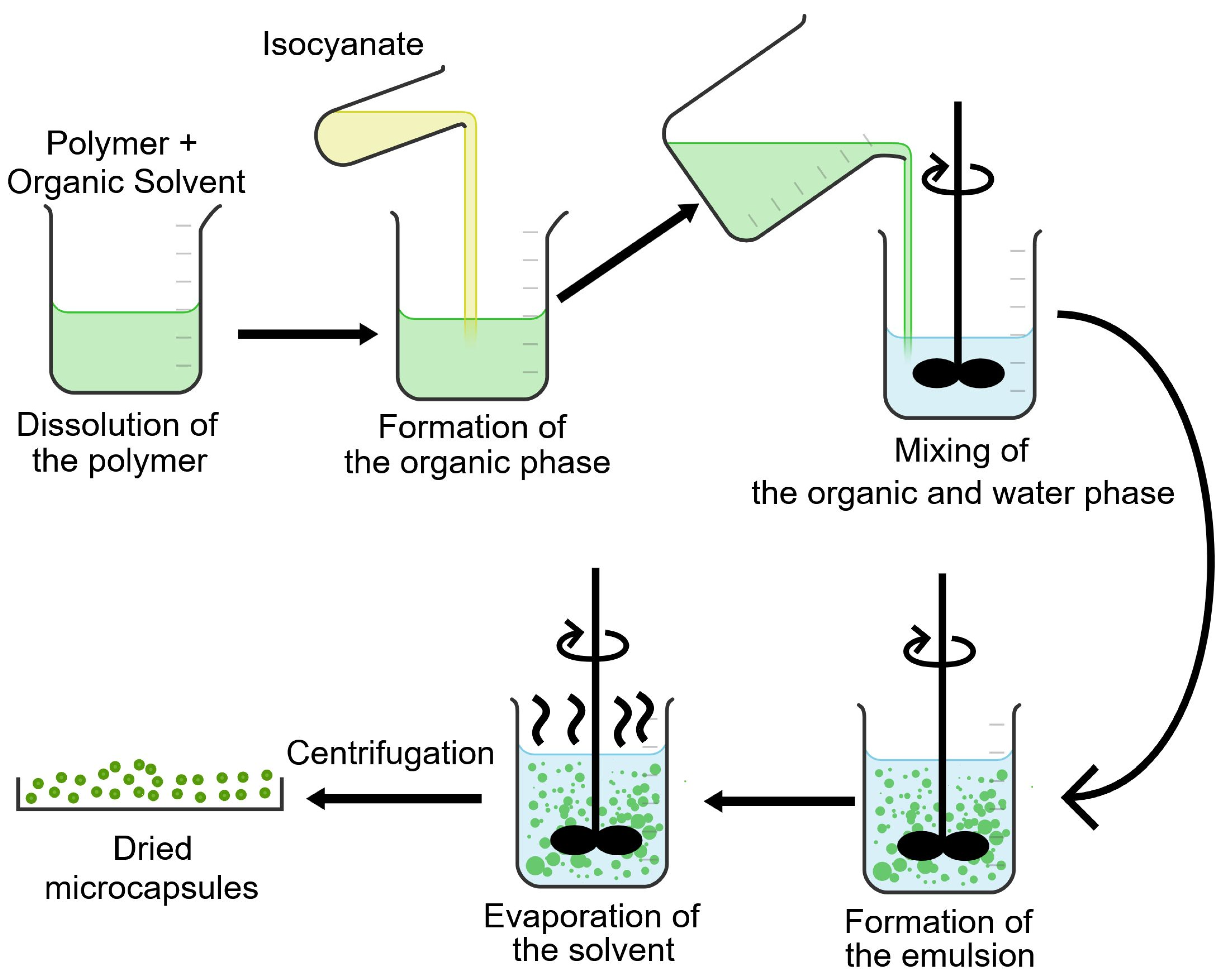 Polymers 17 00139 g001