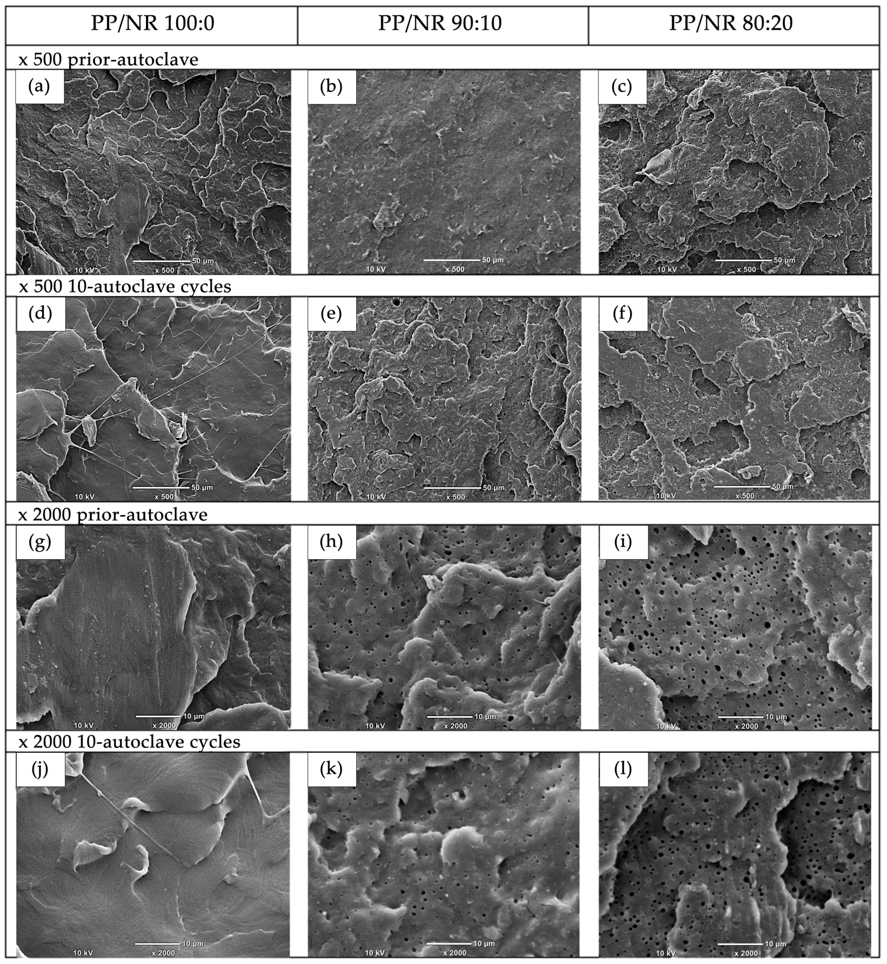 Polymers 17 00143 g003 Polymers 17 00143 g003