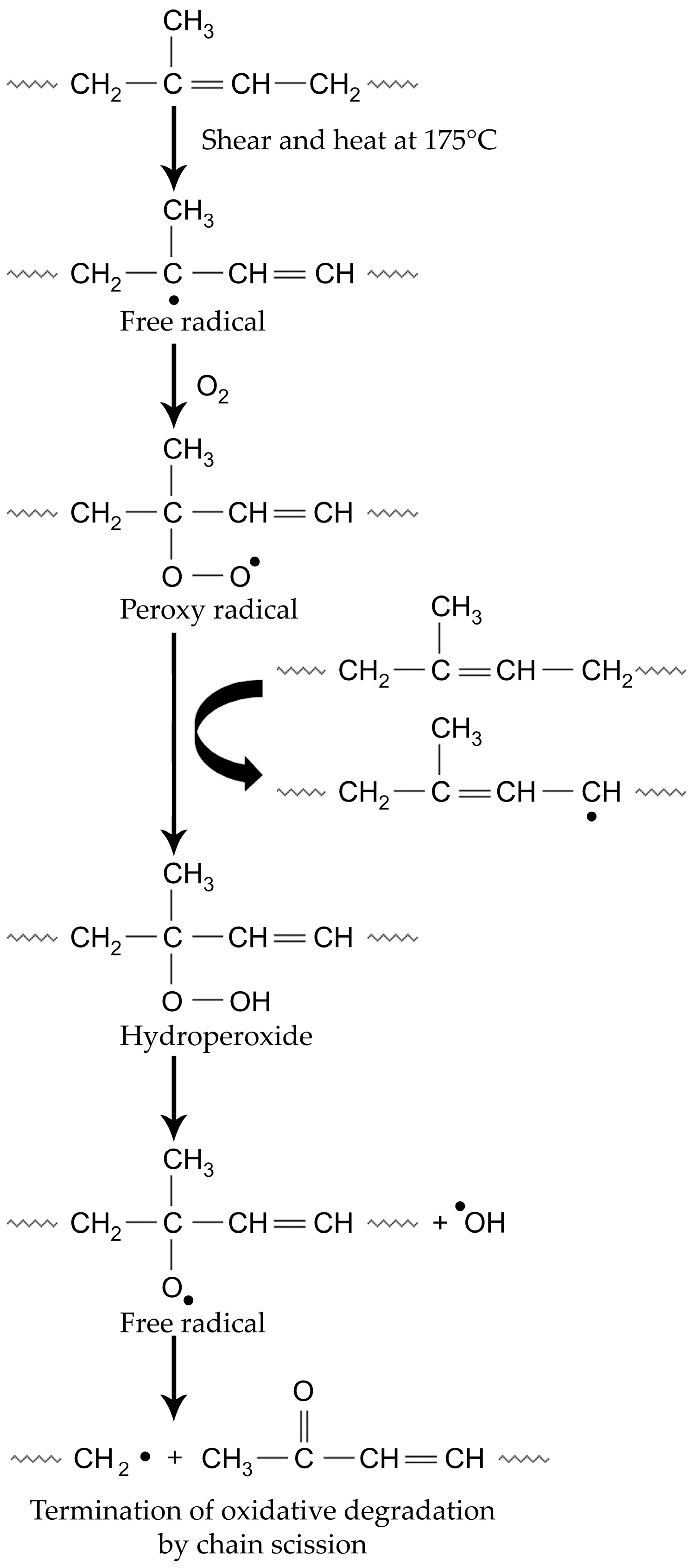 Polymers 17 00143 g004 Polymers 17 00143 g004