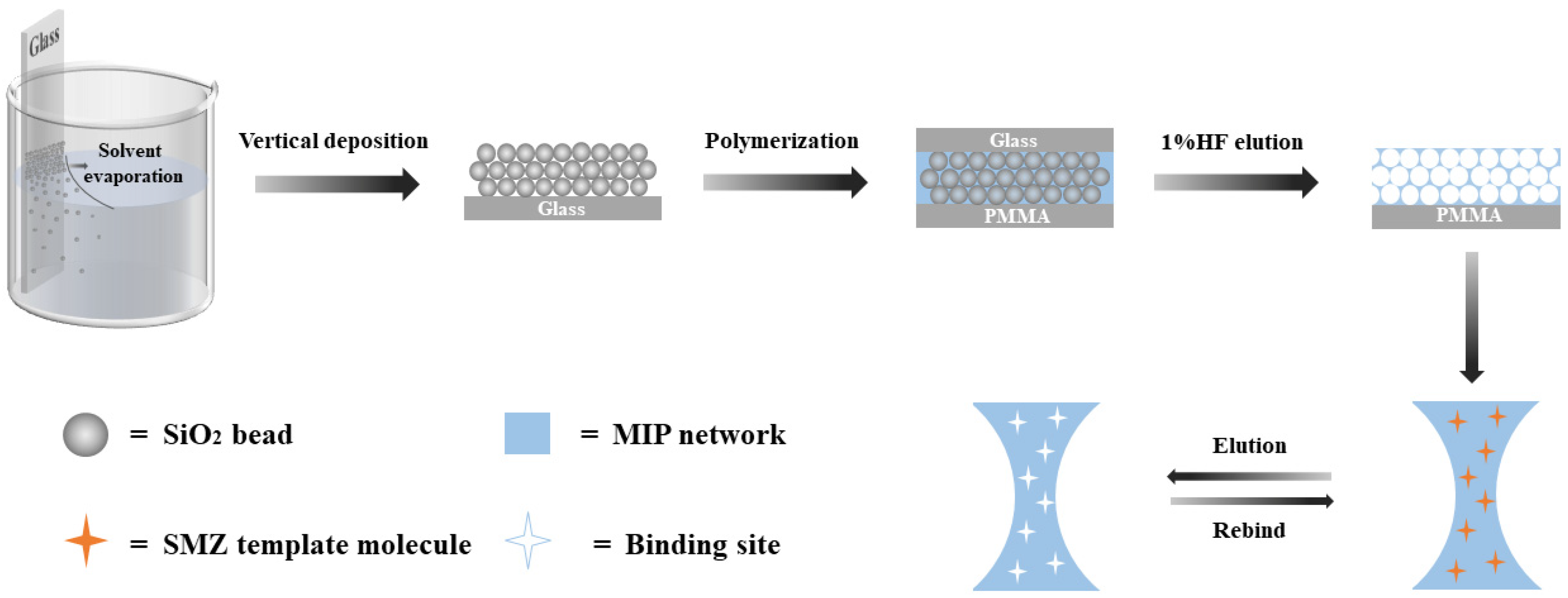 Polymers 17 00160 g001