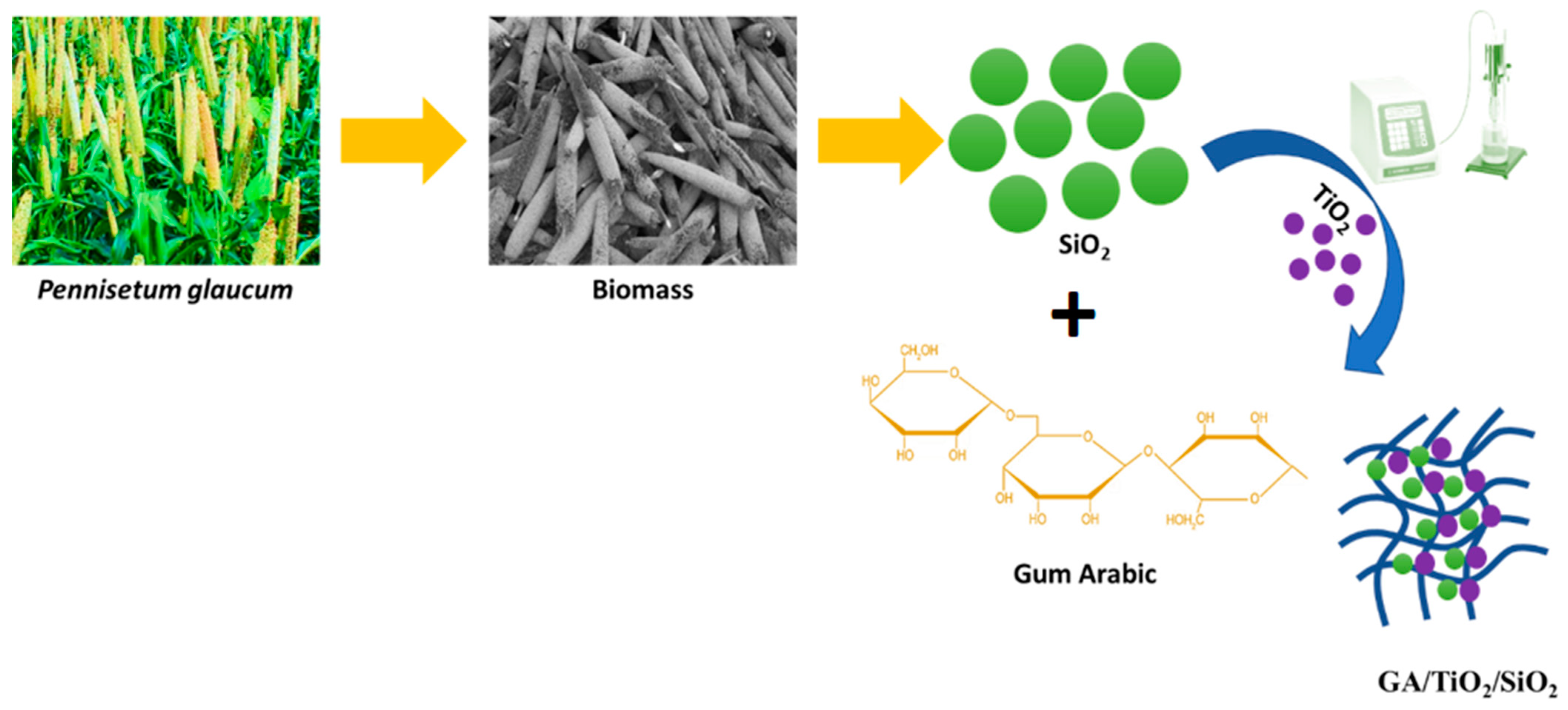 Polymers 17 00161 g001