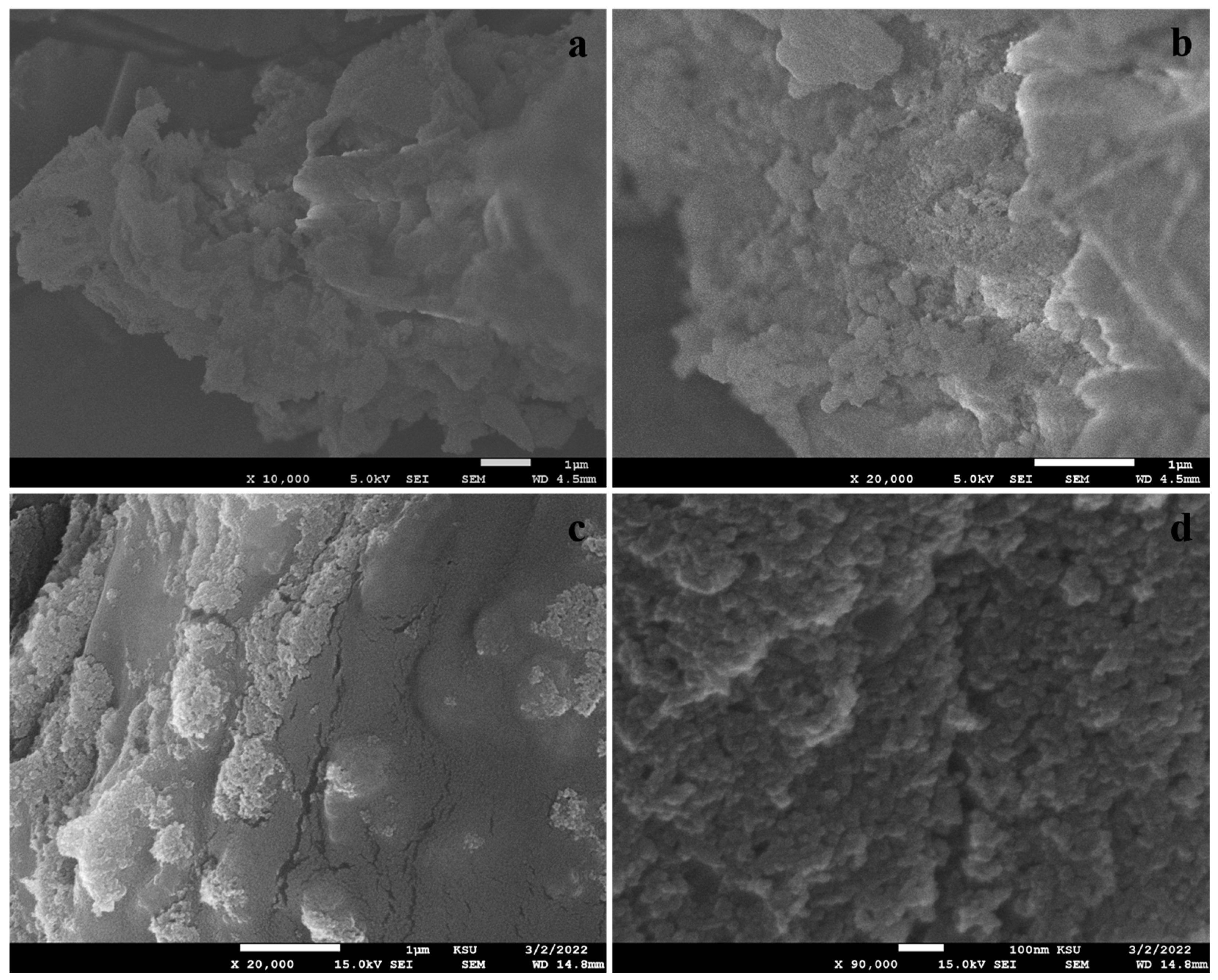 Polymers 17 00161 g004