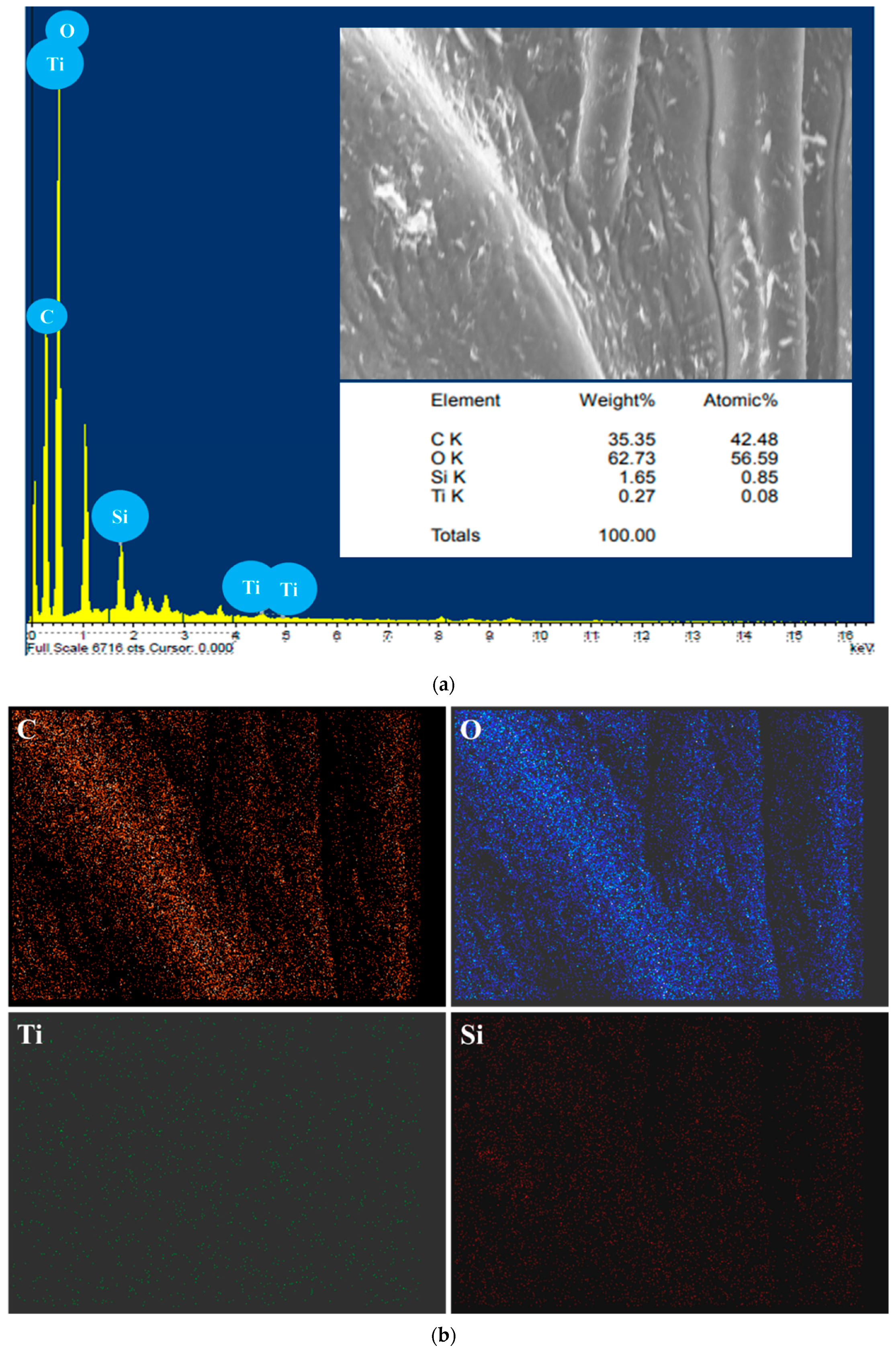 Polymers 17 00161 g005