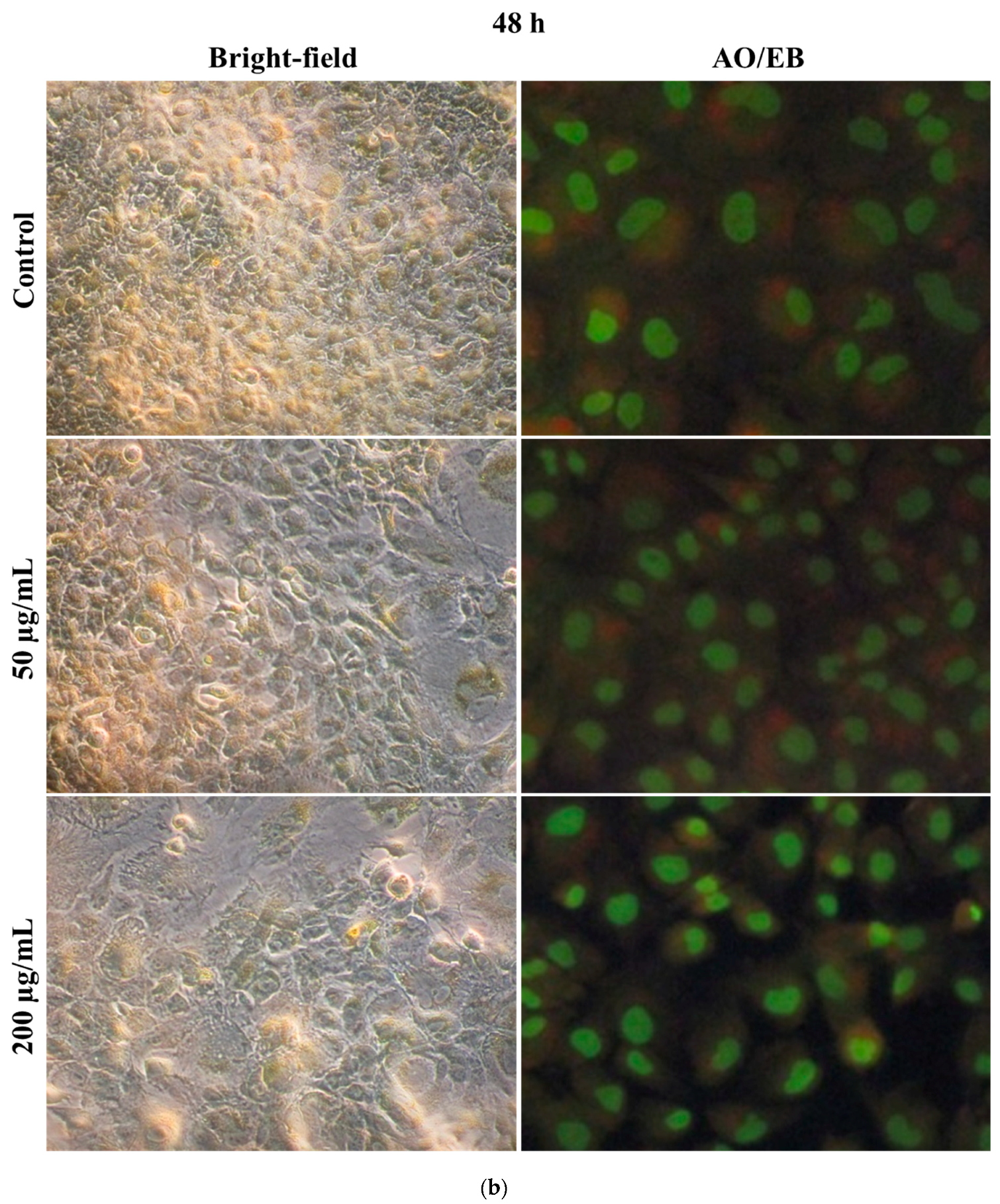 Polymers 17 00161 g007b