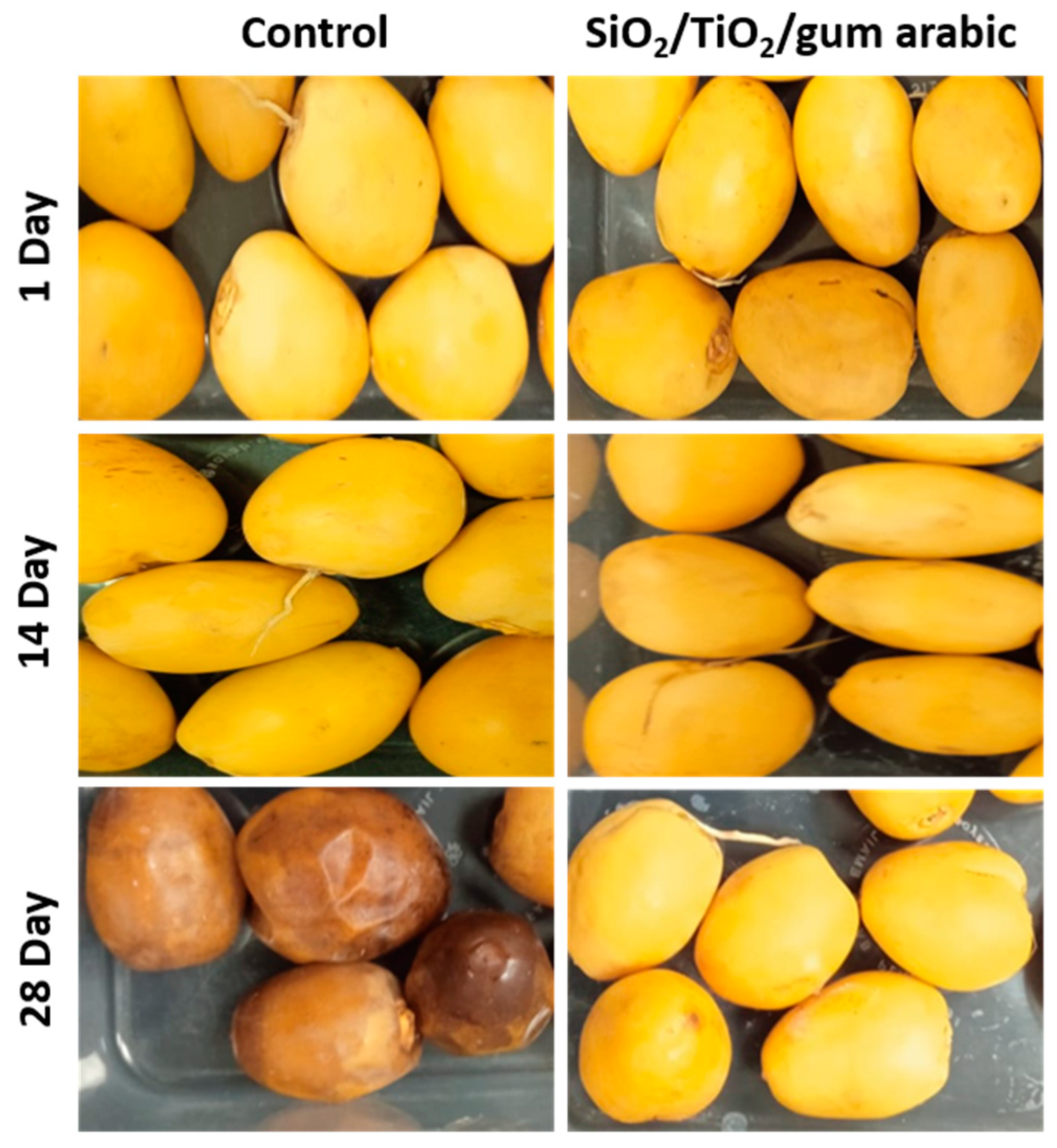 Polymers 17 00161 g010