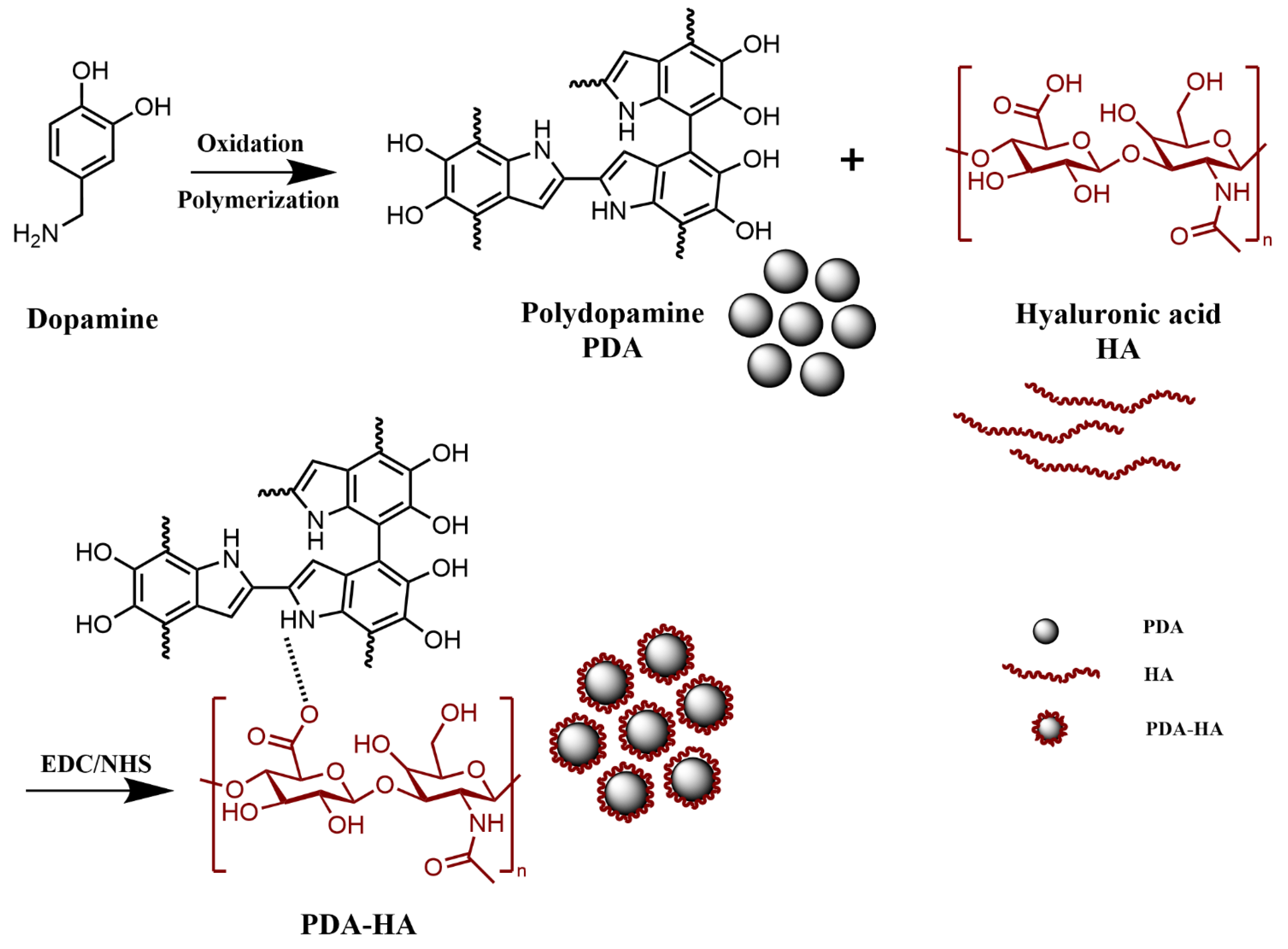 Polymers 17 00162 g001