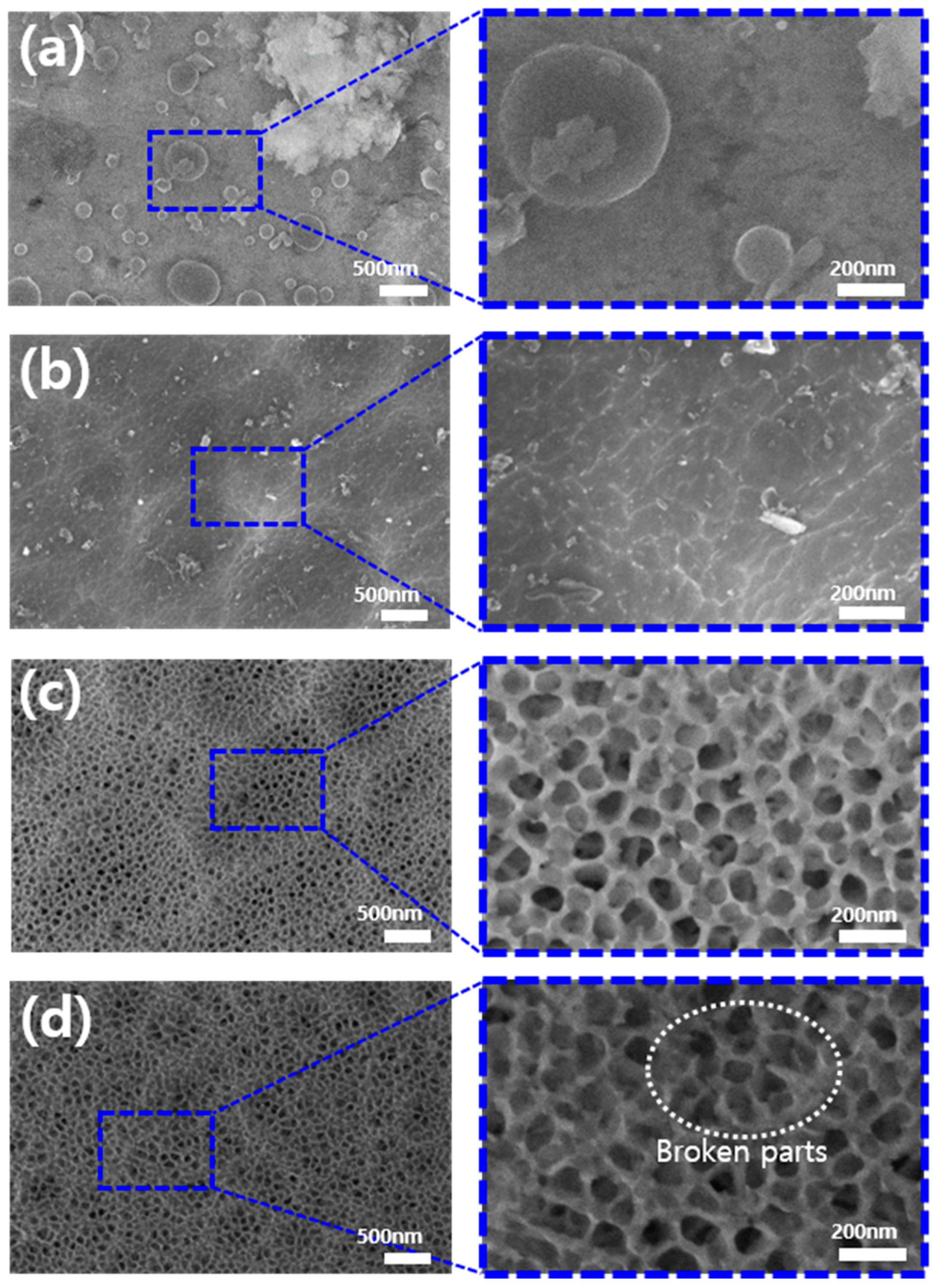Polymers 17 00165 g003