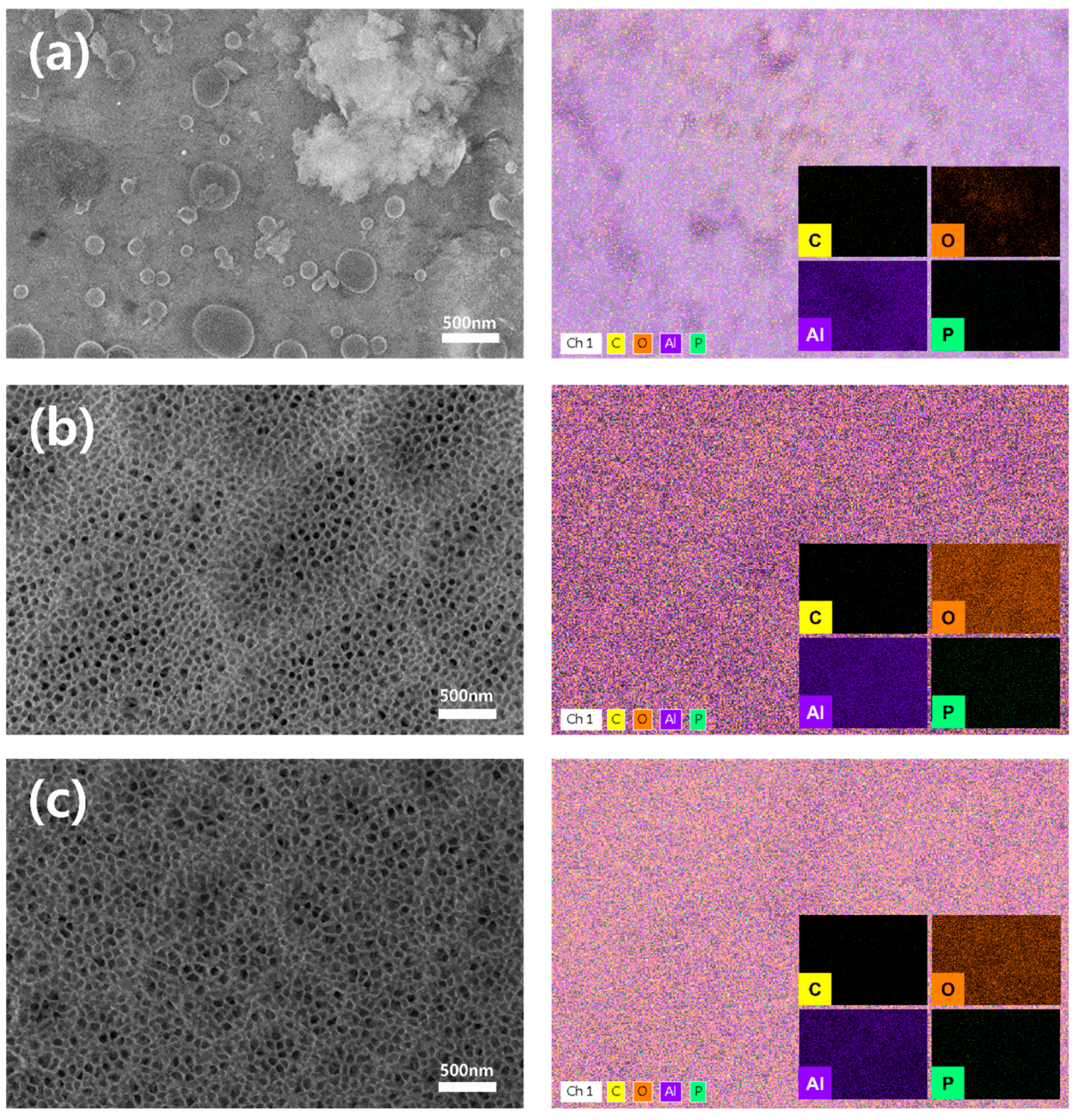 Polymers 17 00165 g004