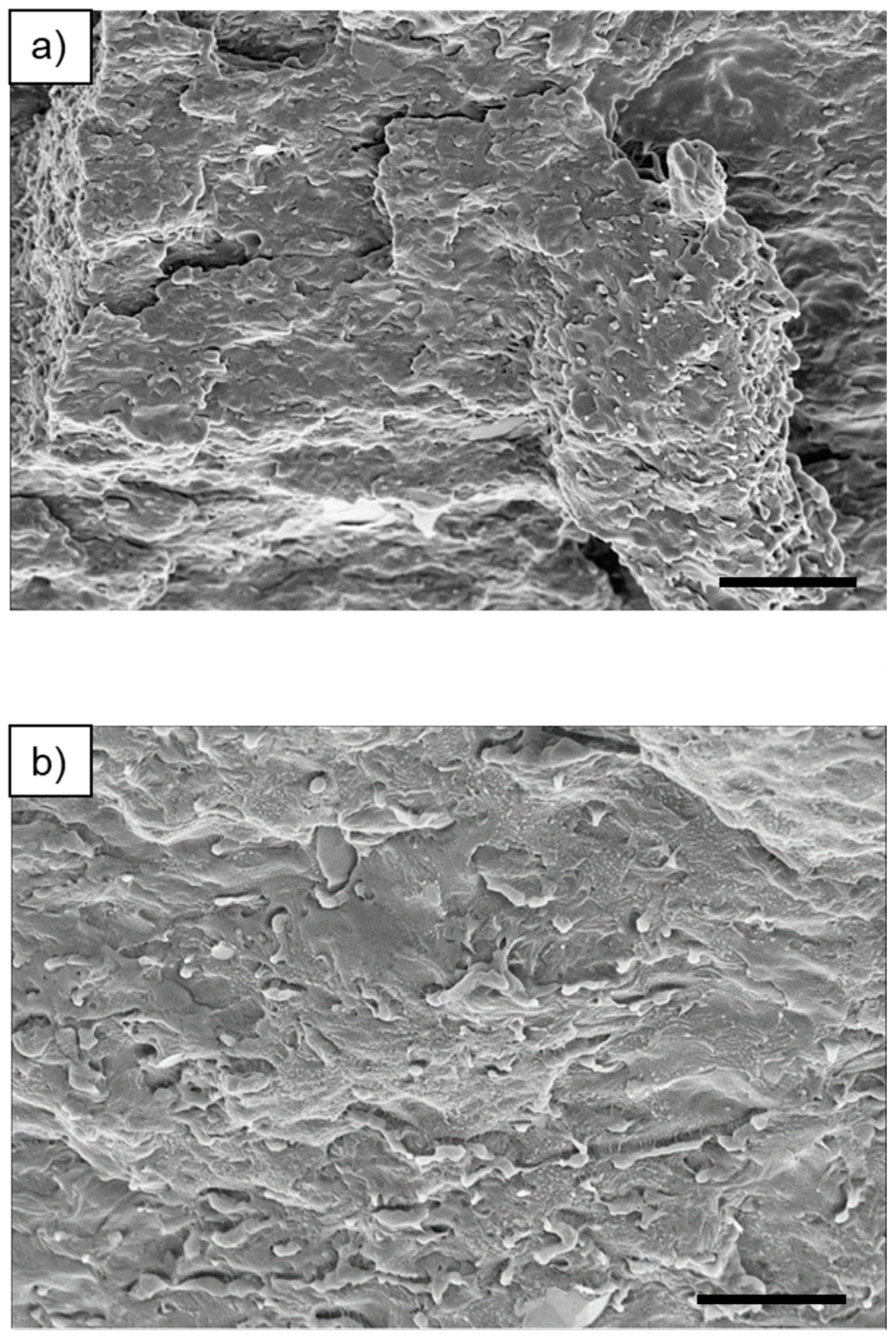 Polymers 17 00166 g004 Polymers 17 00166 g004