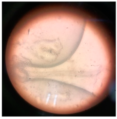 Polymers 17 00169 i003