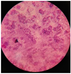 Polymers 17 00169 i005