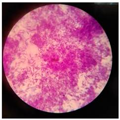 Polymers 17 00169 i008