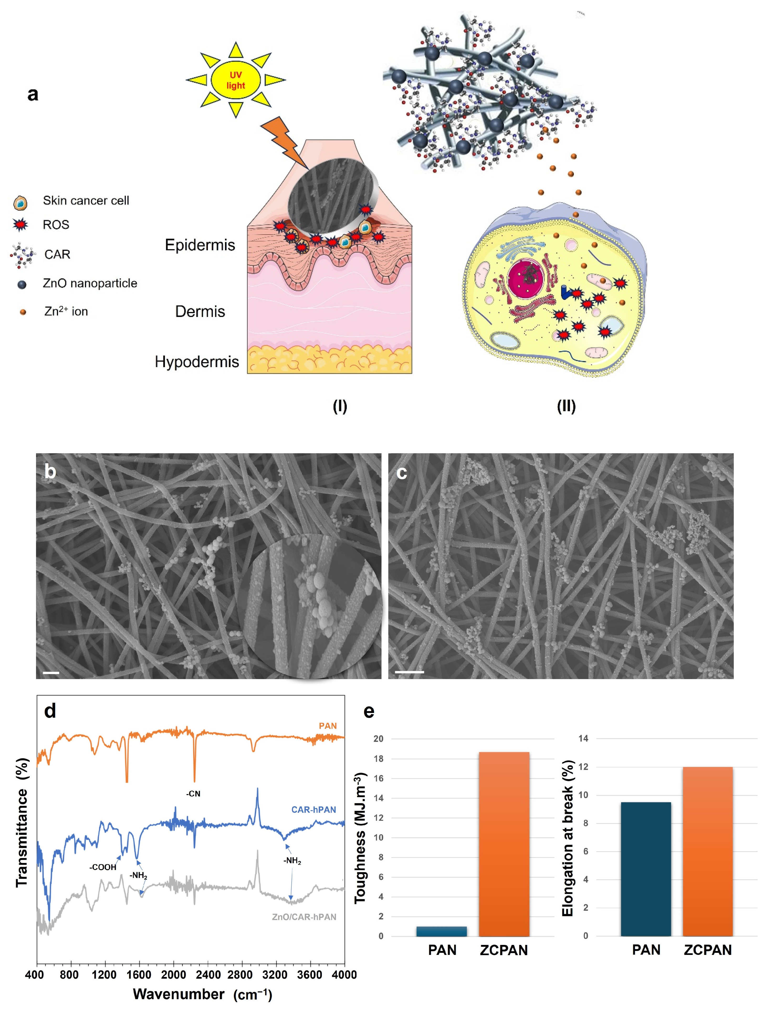 Polymers 17 00173 g001