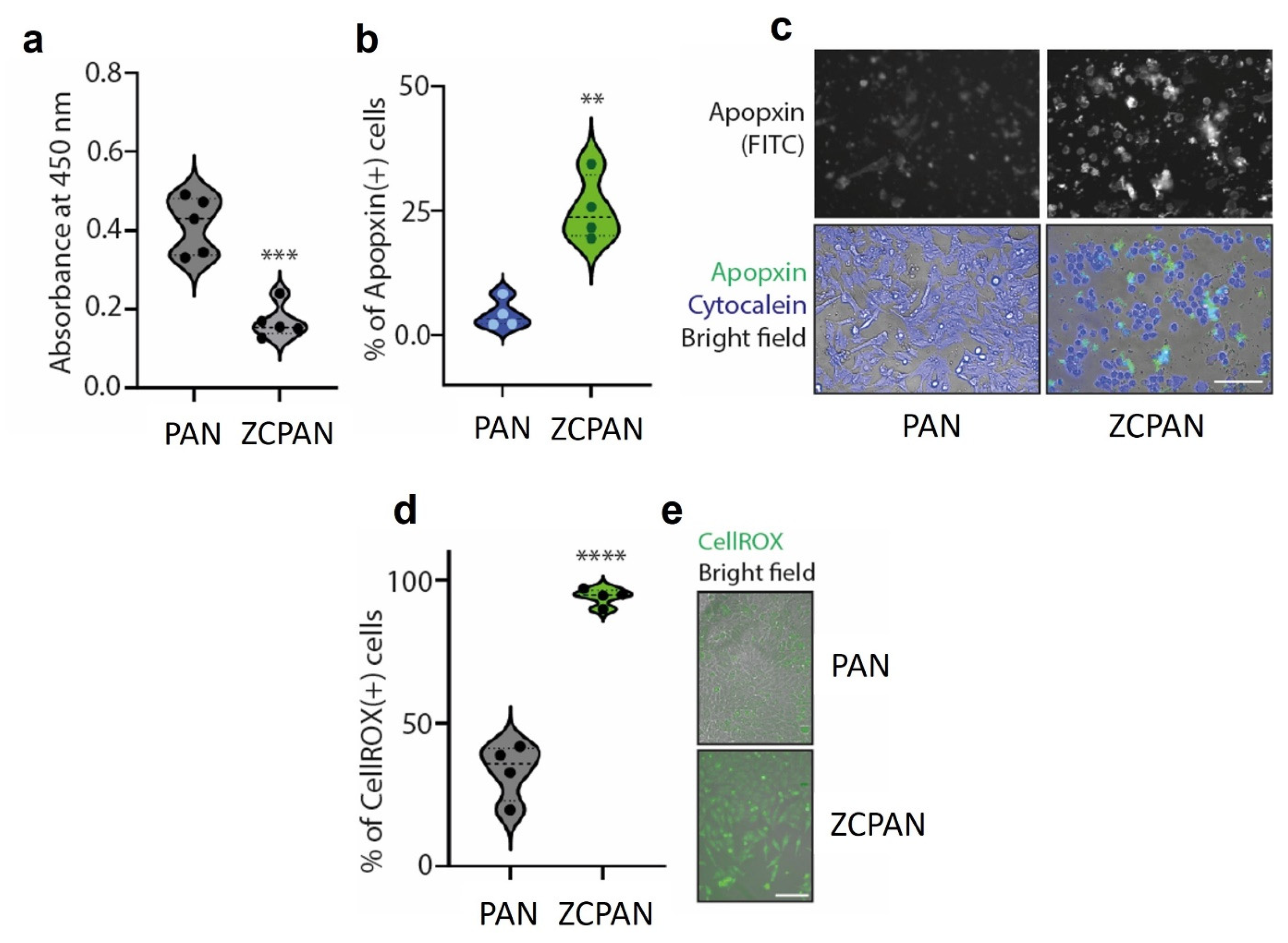 Polymers 17 00173 g003