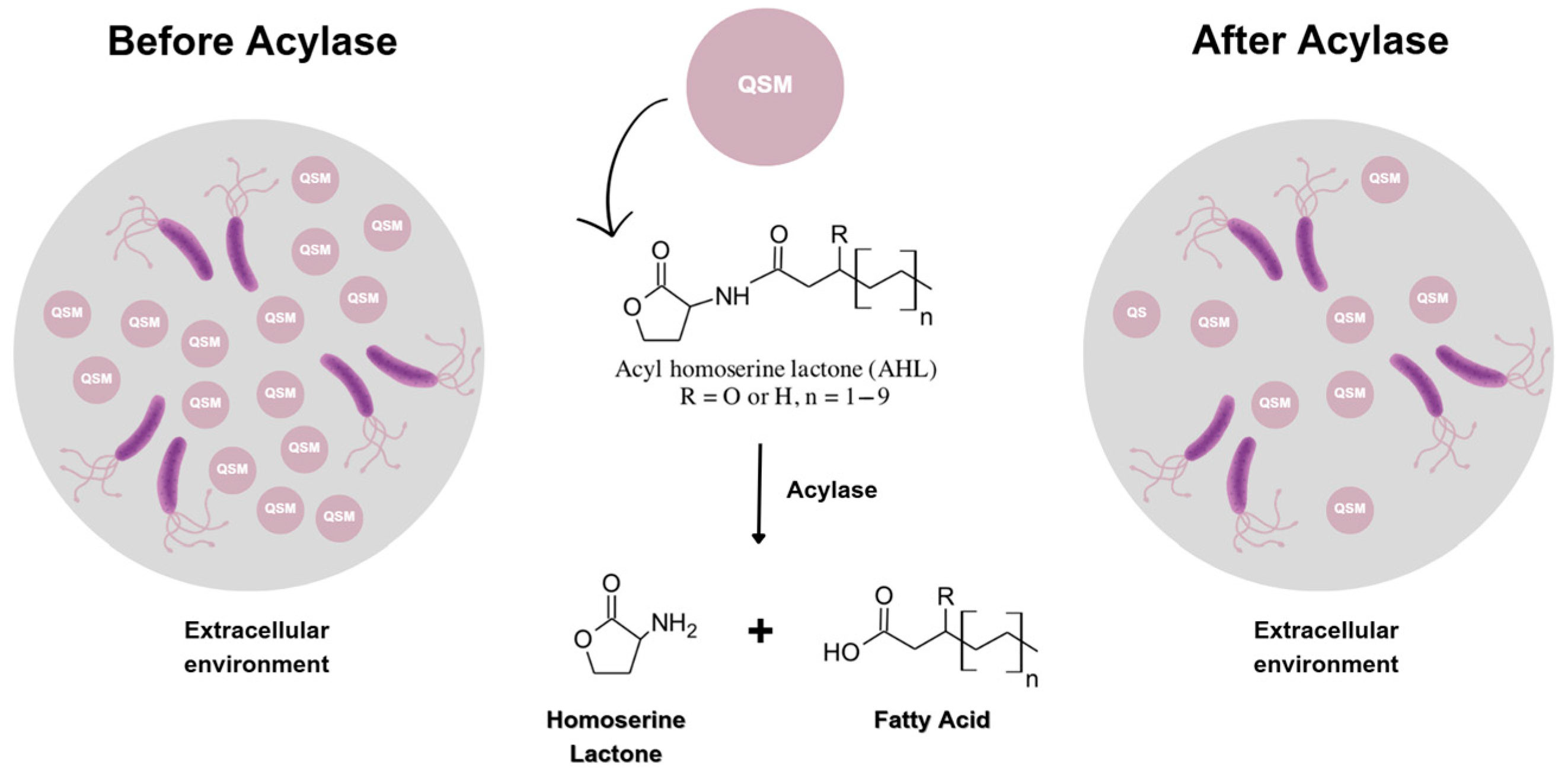 Polymers 17 00182 g001