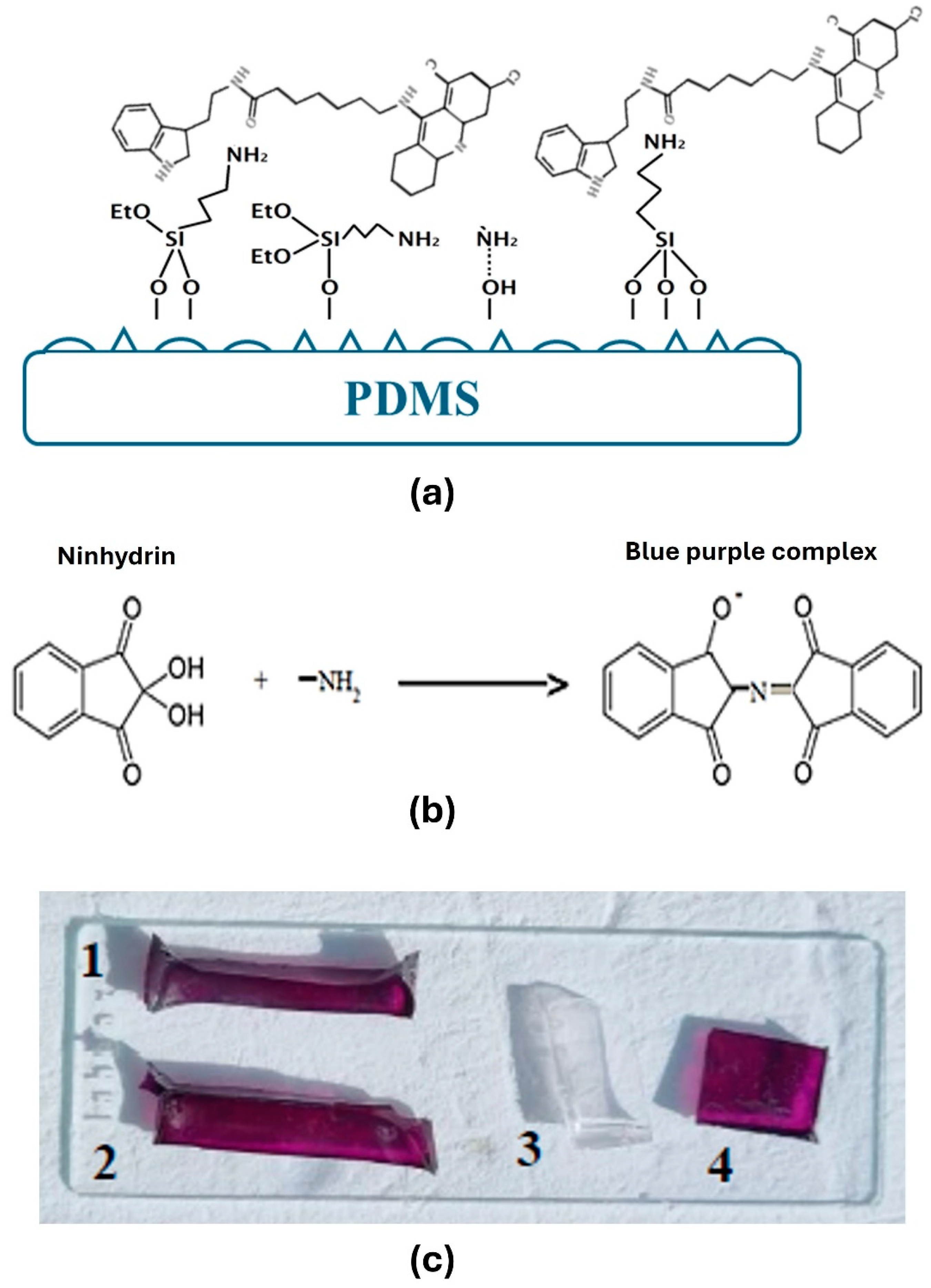 Polymers 17 00182 g002