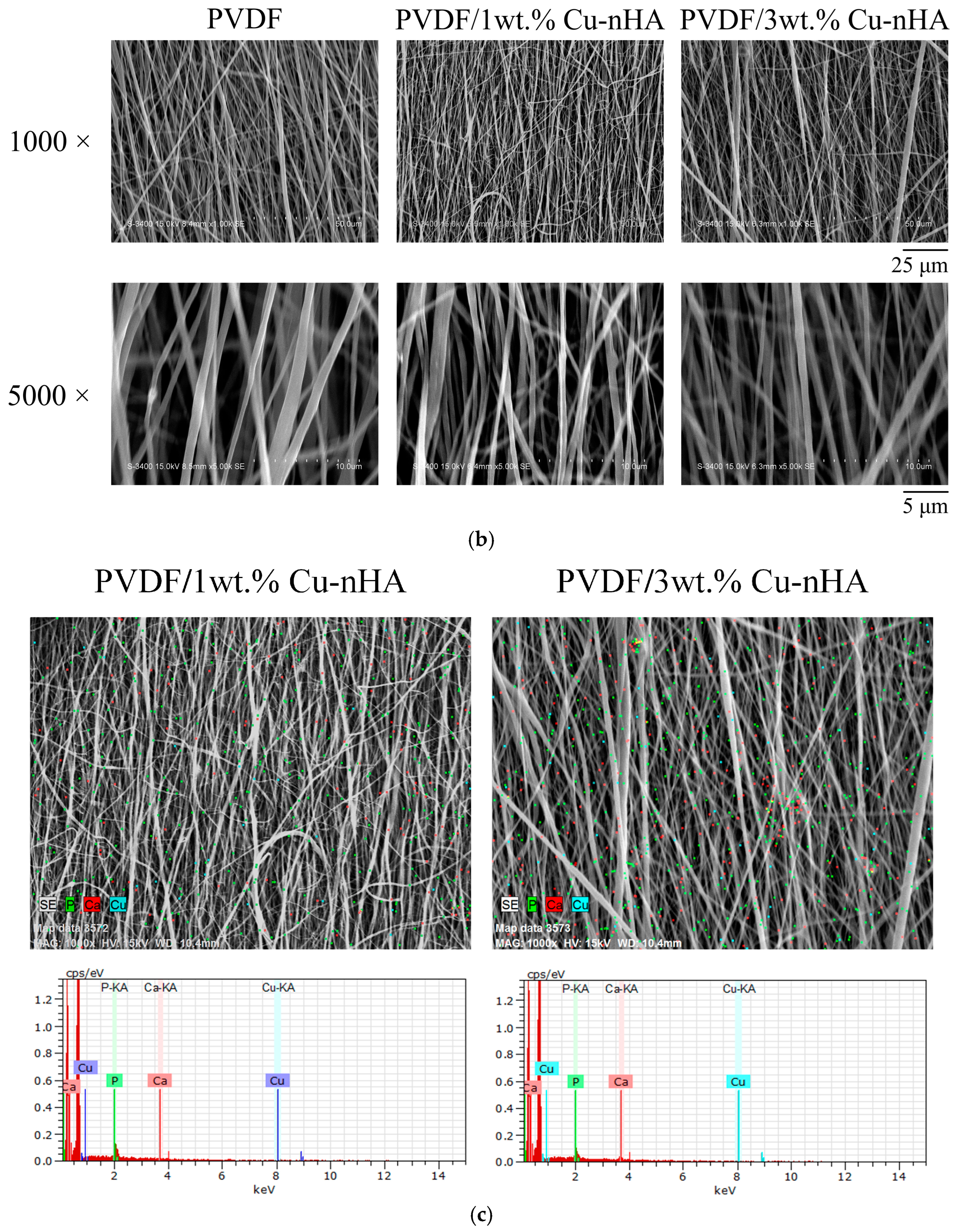 Polymers 17 00185 g002b