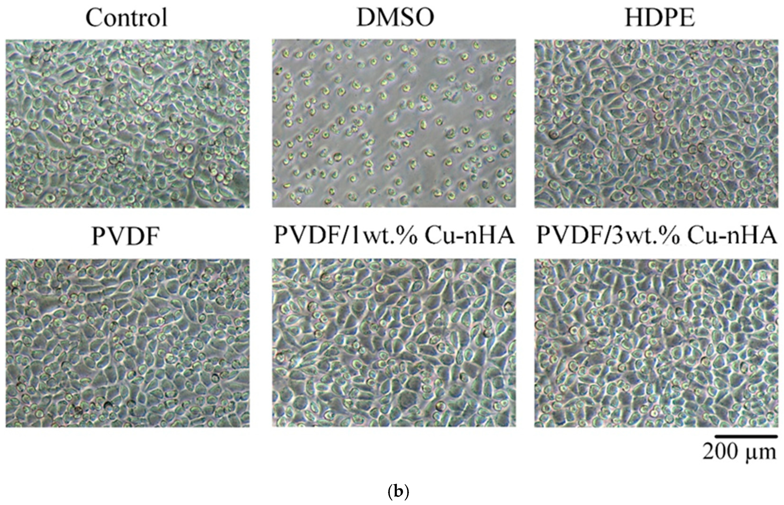 Polymers 17 00185 g006b
