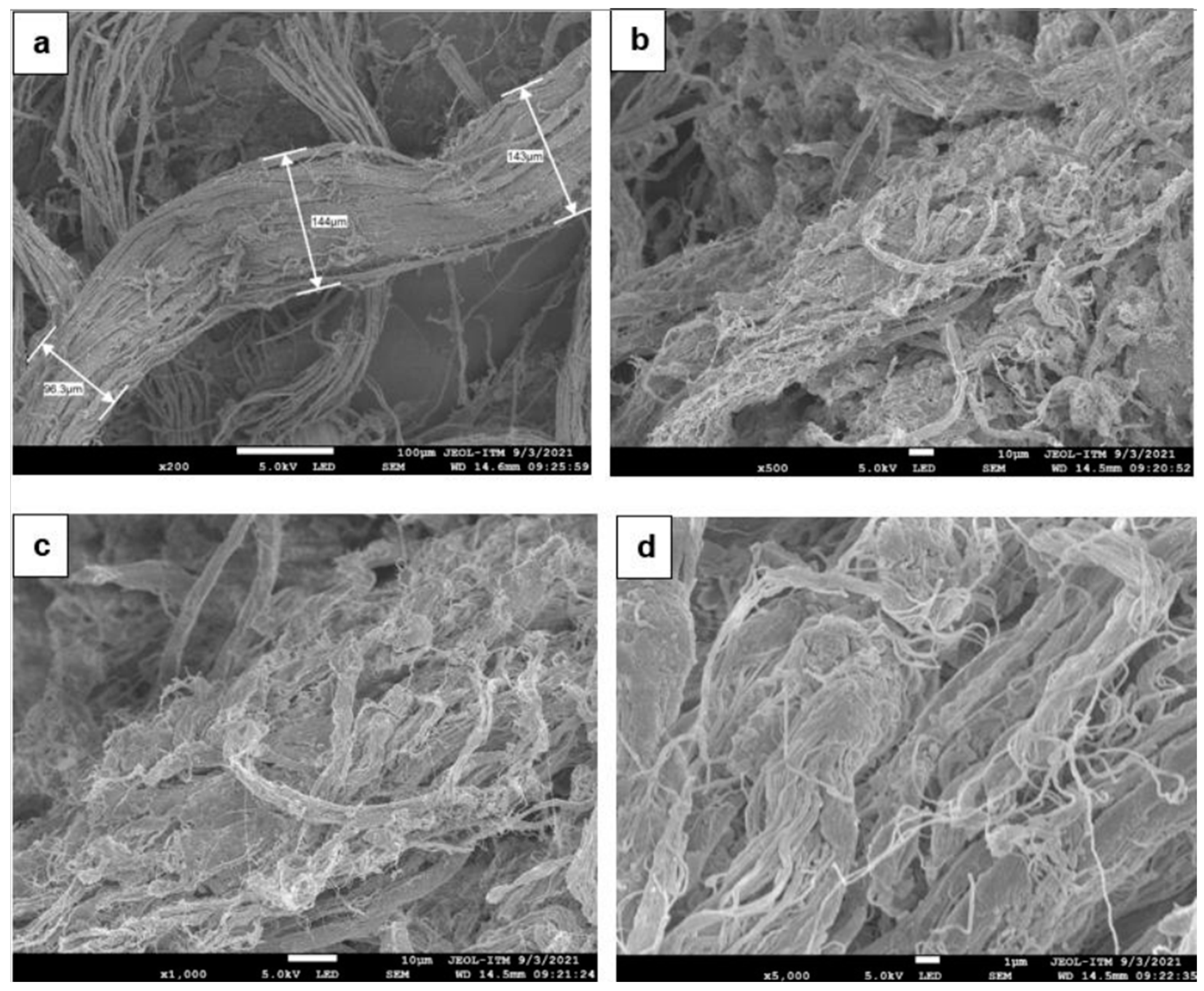 Polymers 17 00190 g012