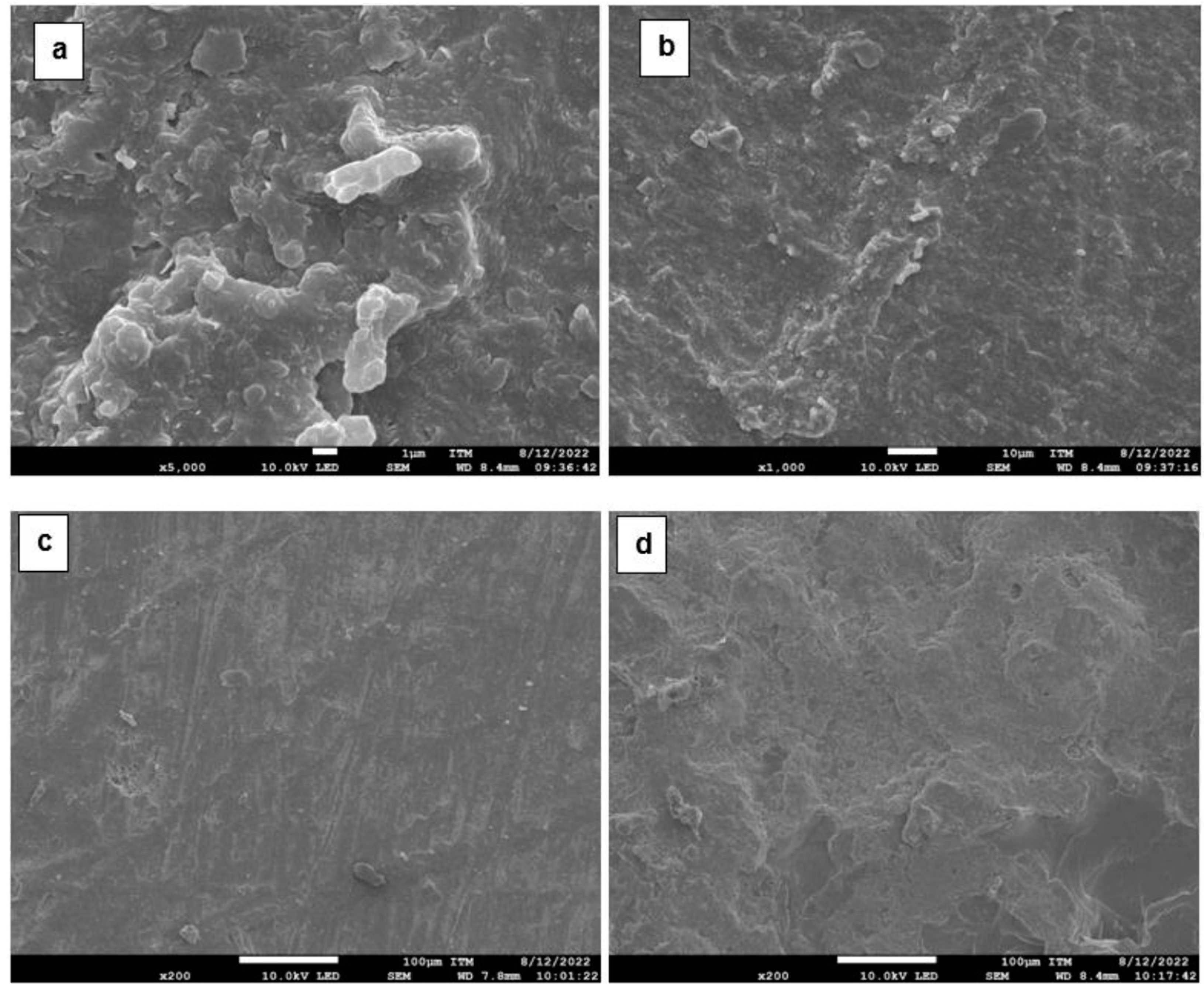 Polymers 17 00190 g013