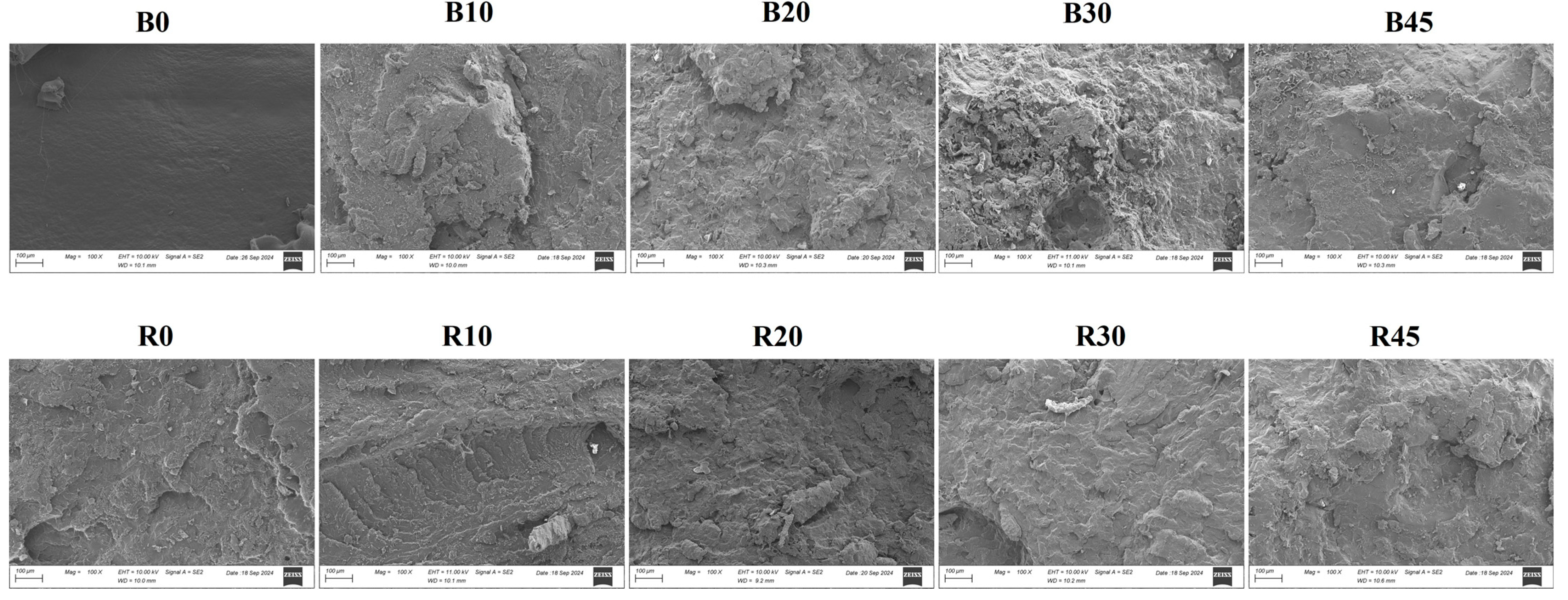 Polymers 17 00194 g006