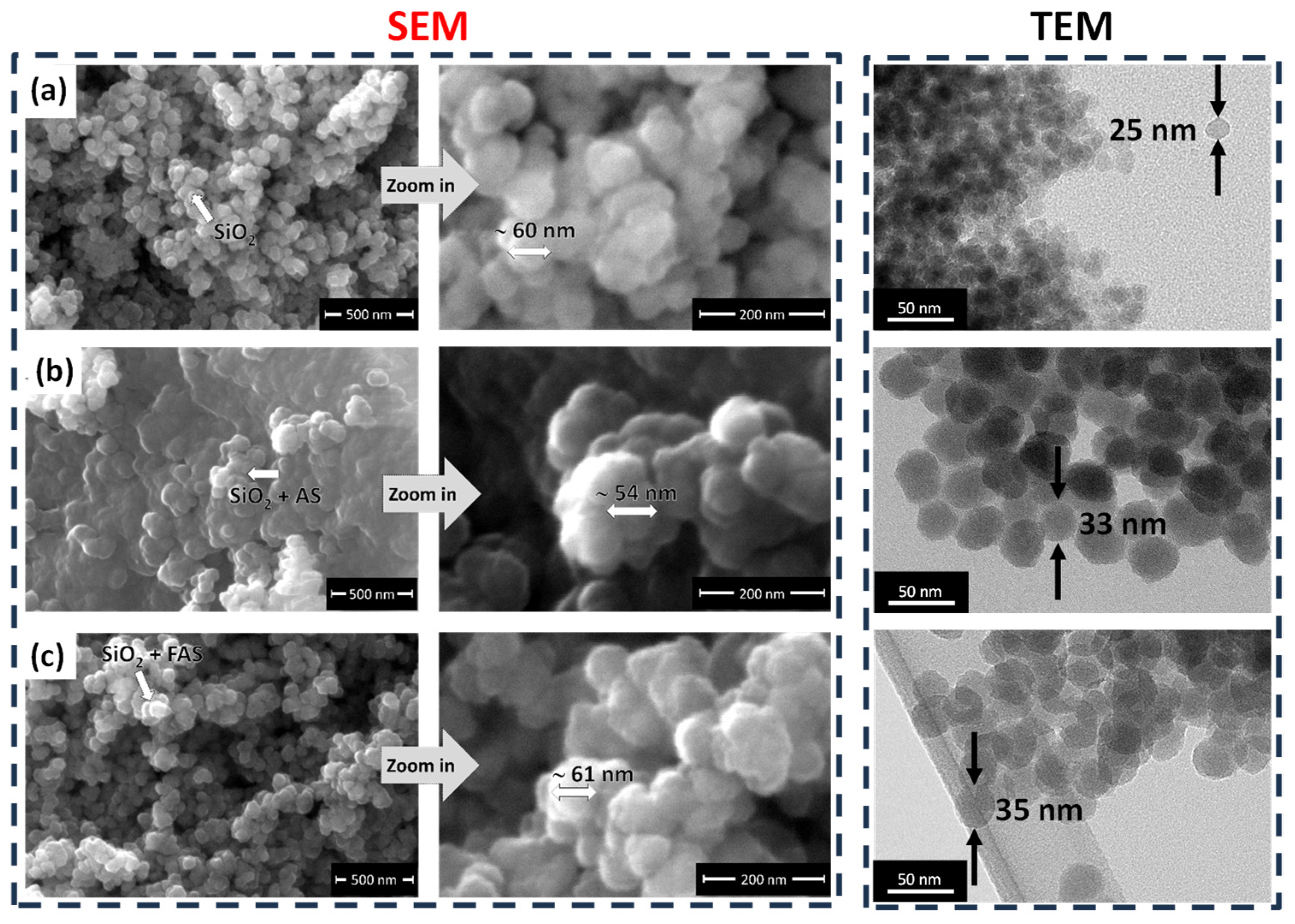 Polymers 17 00195 g004