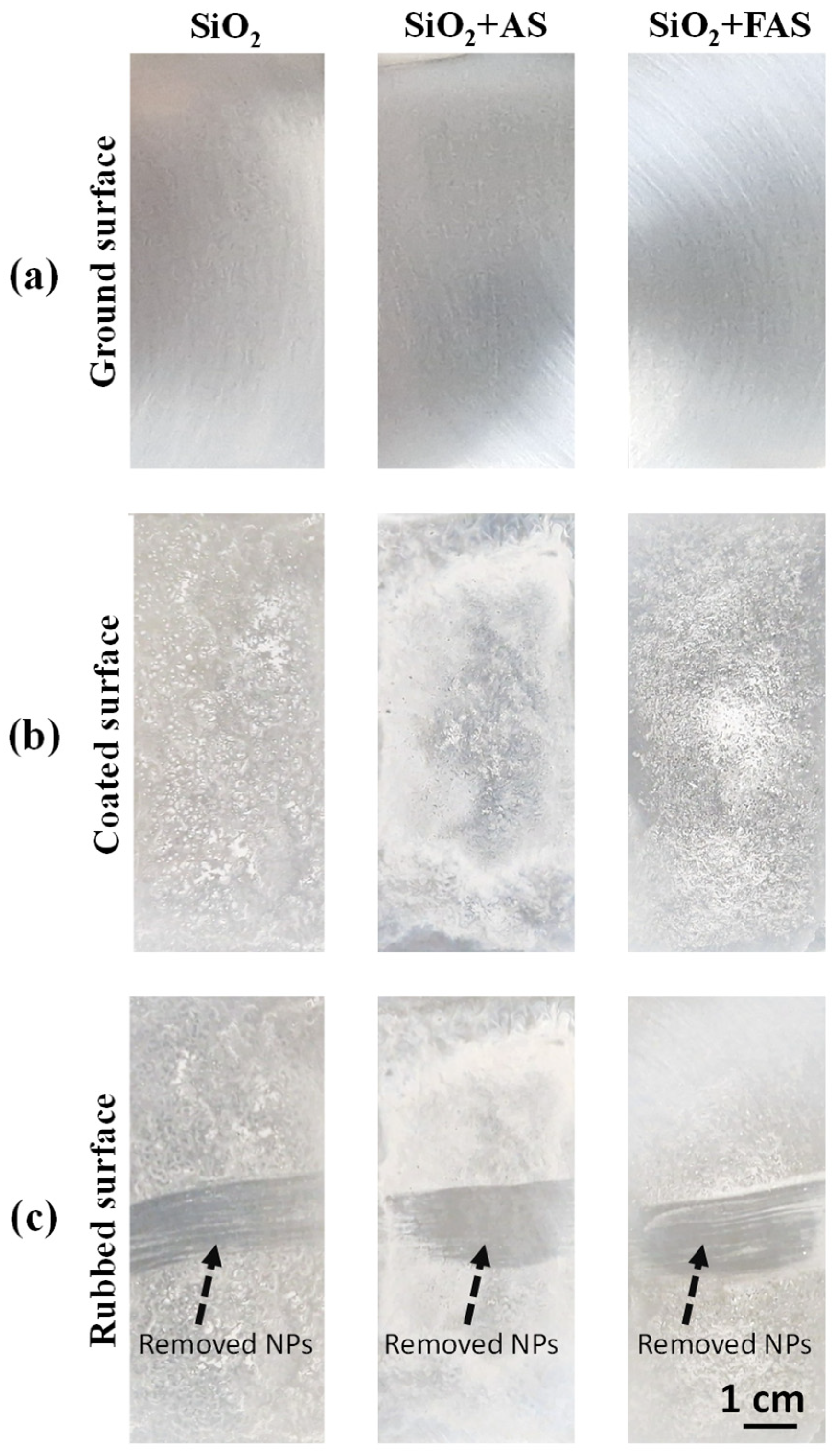 Polymers 17 00195 g005