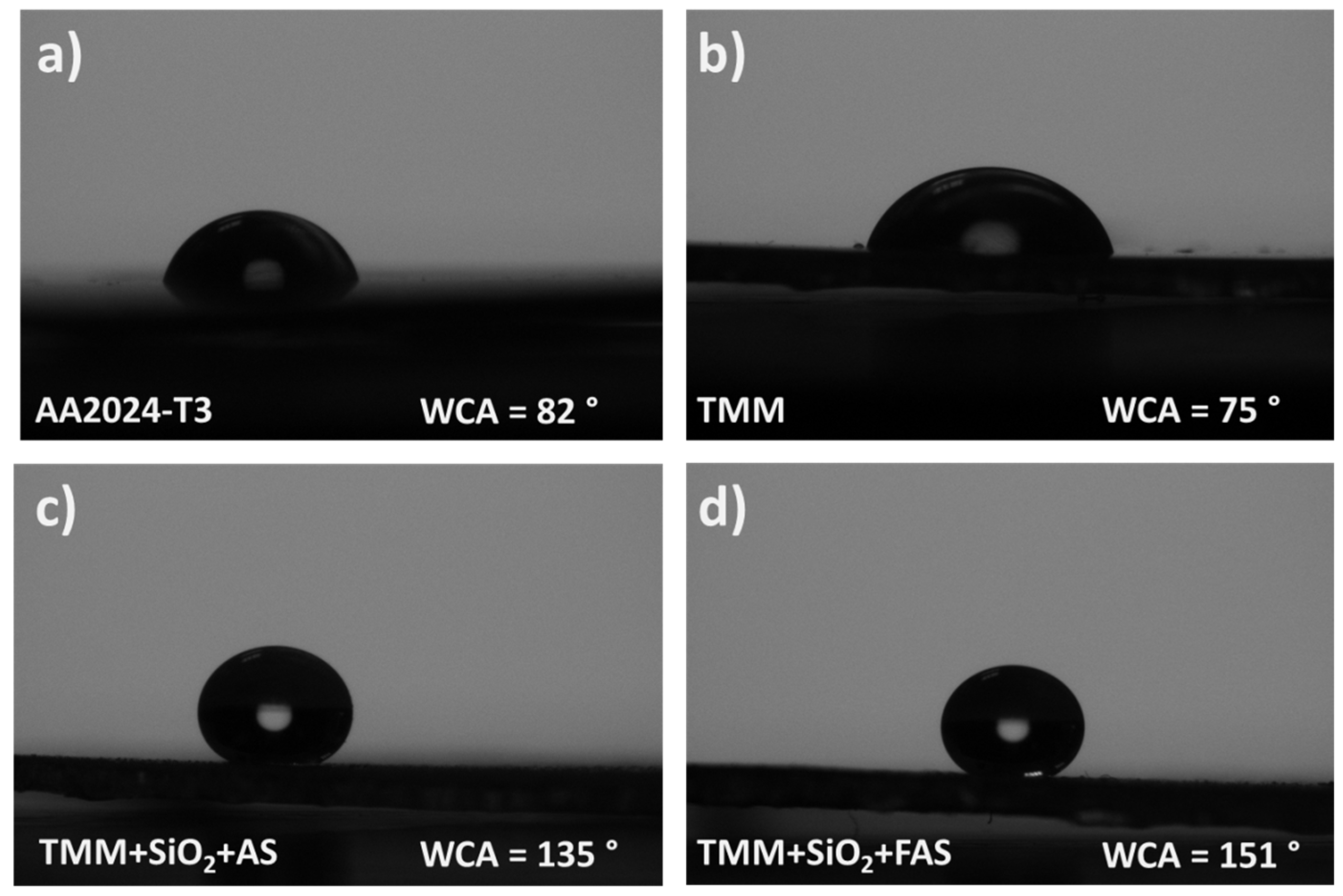 Polymers 17 00195 g011