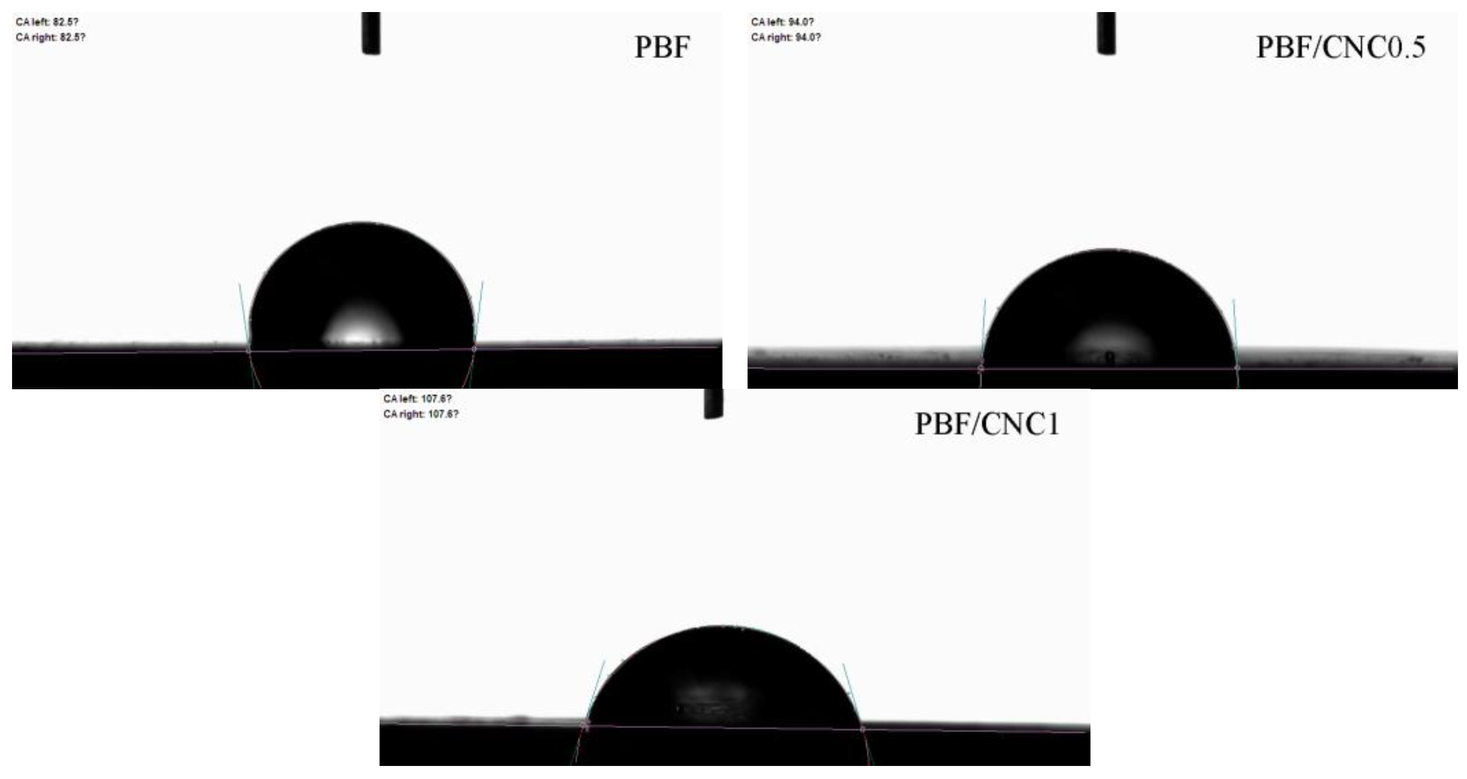 Polymers 17 00196 g010