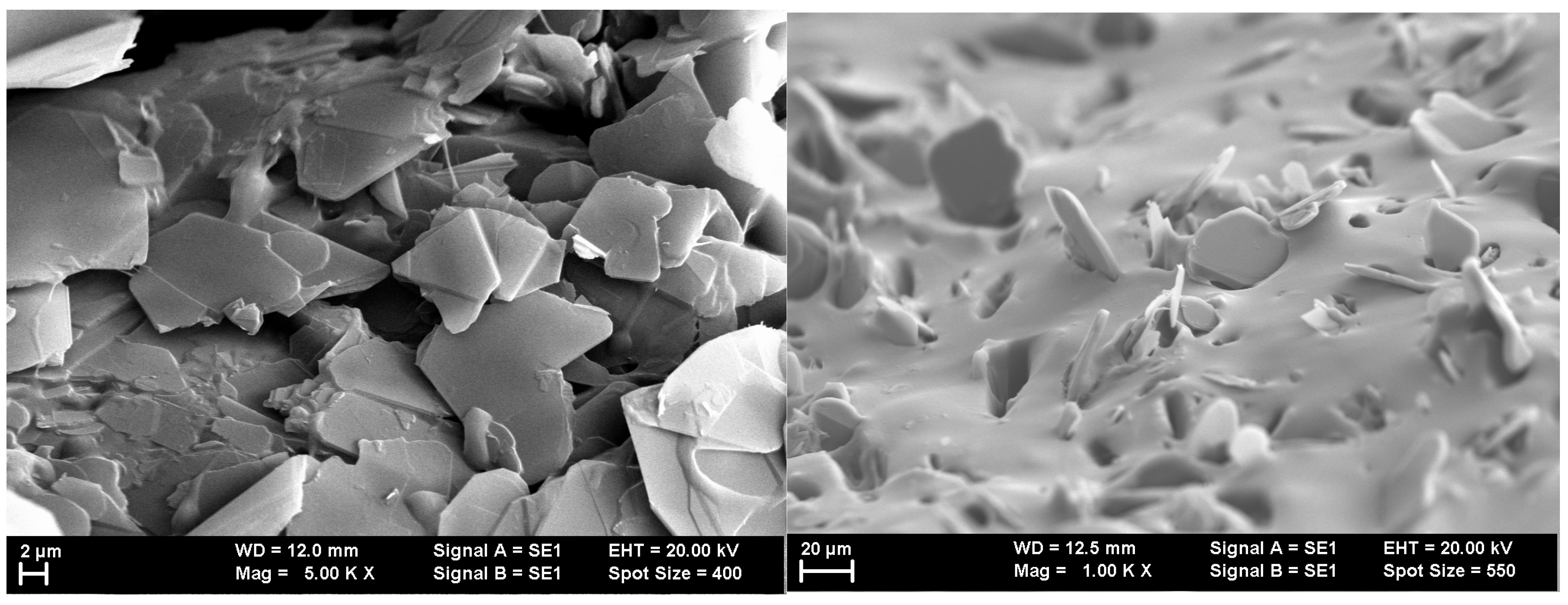 Polymers 17 00204 g003