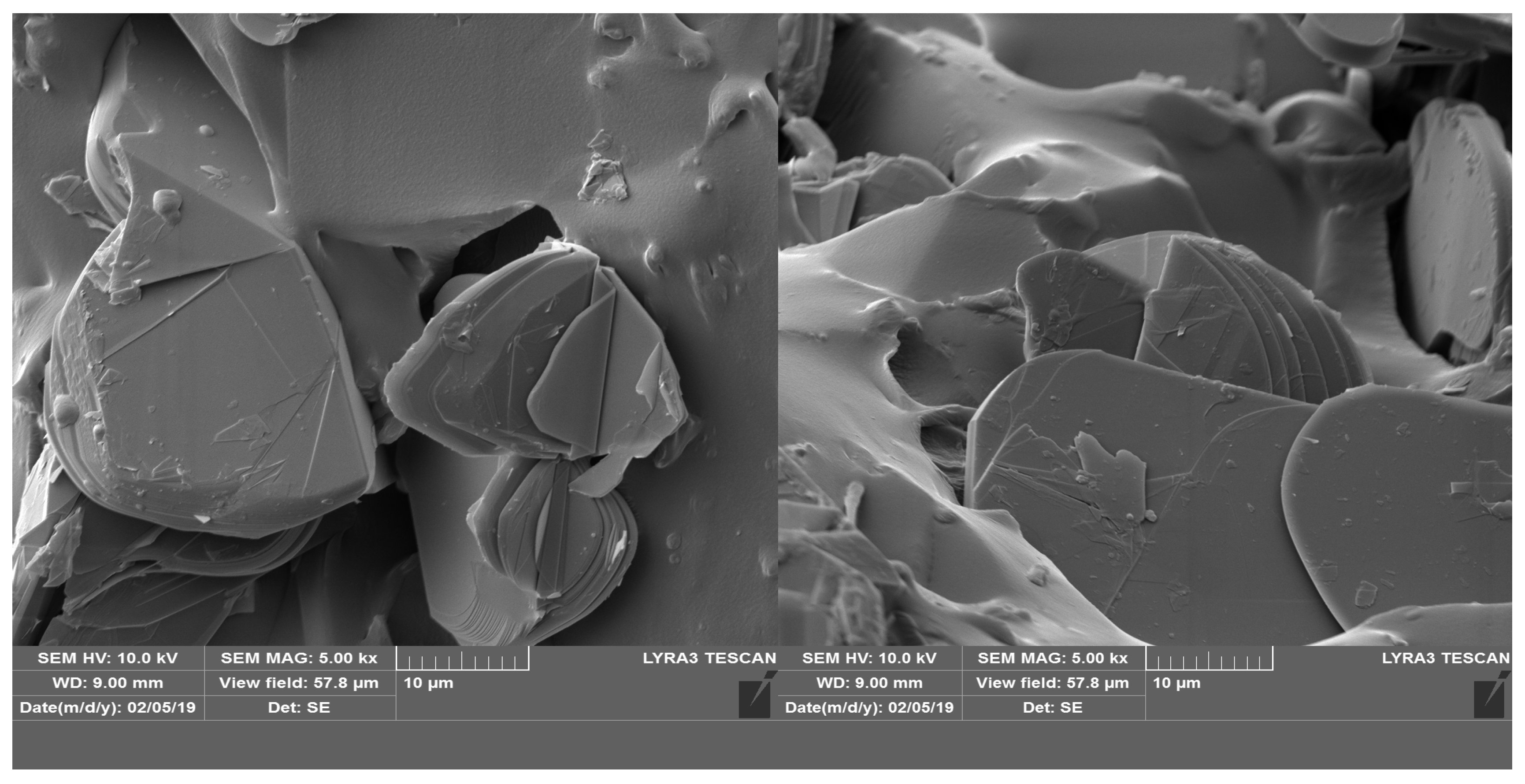 Polymers 17 00204 g004