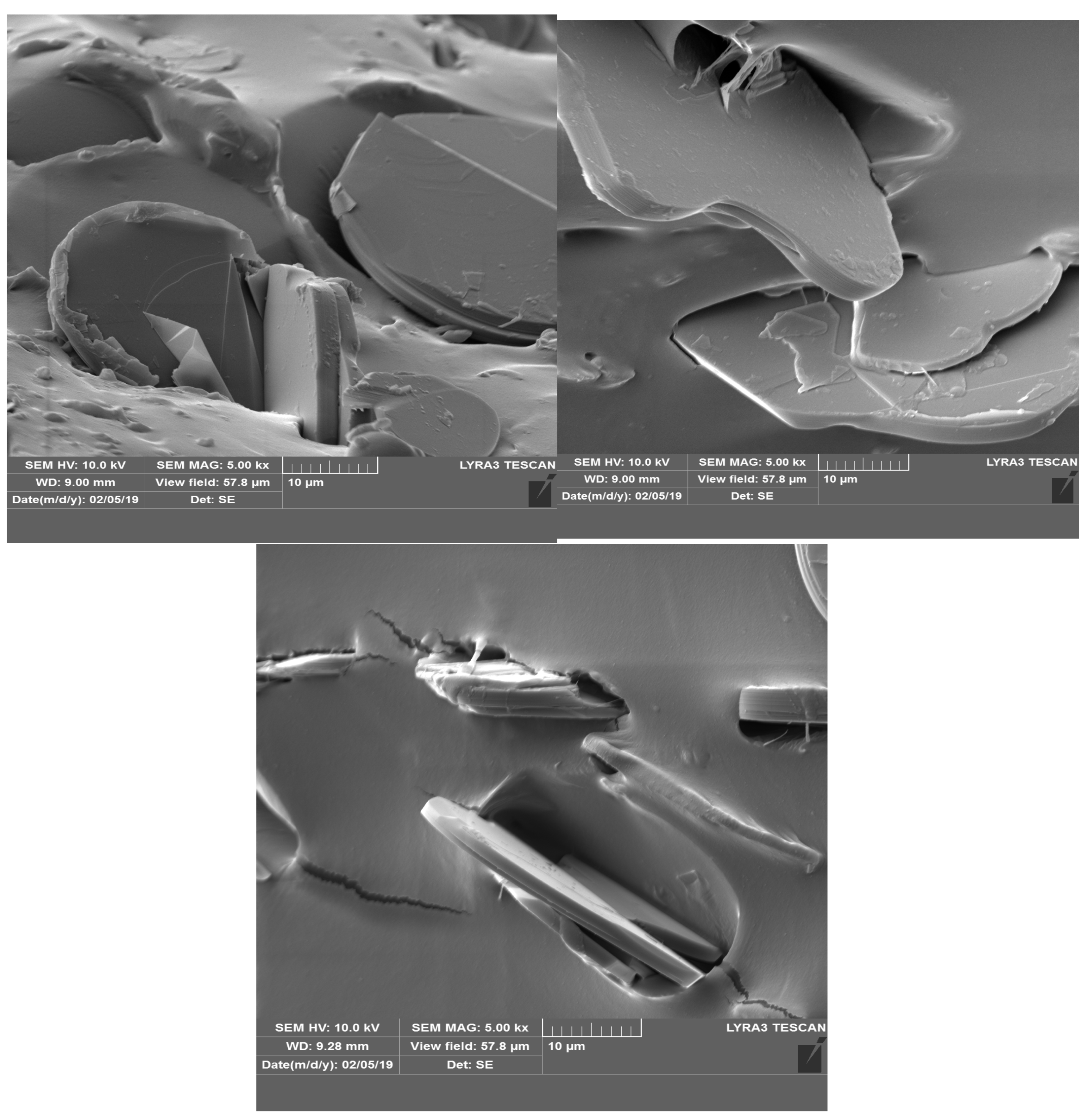 Polymers 17 00204 g005