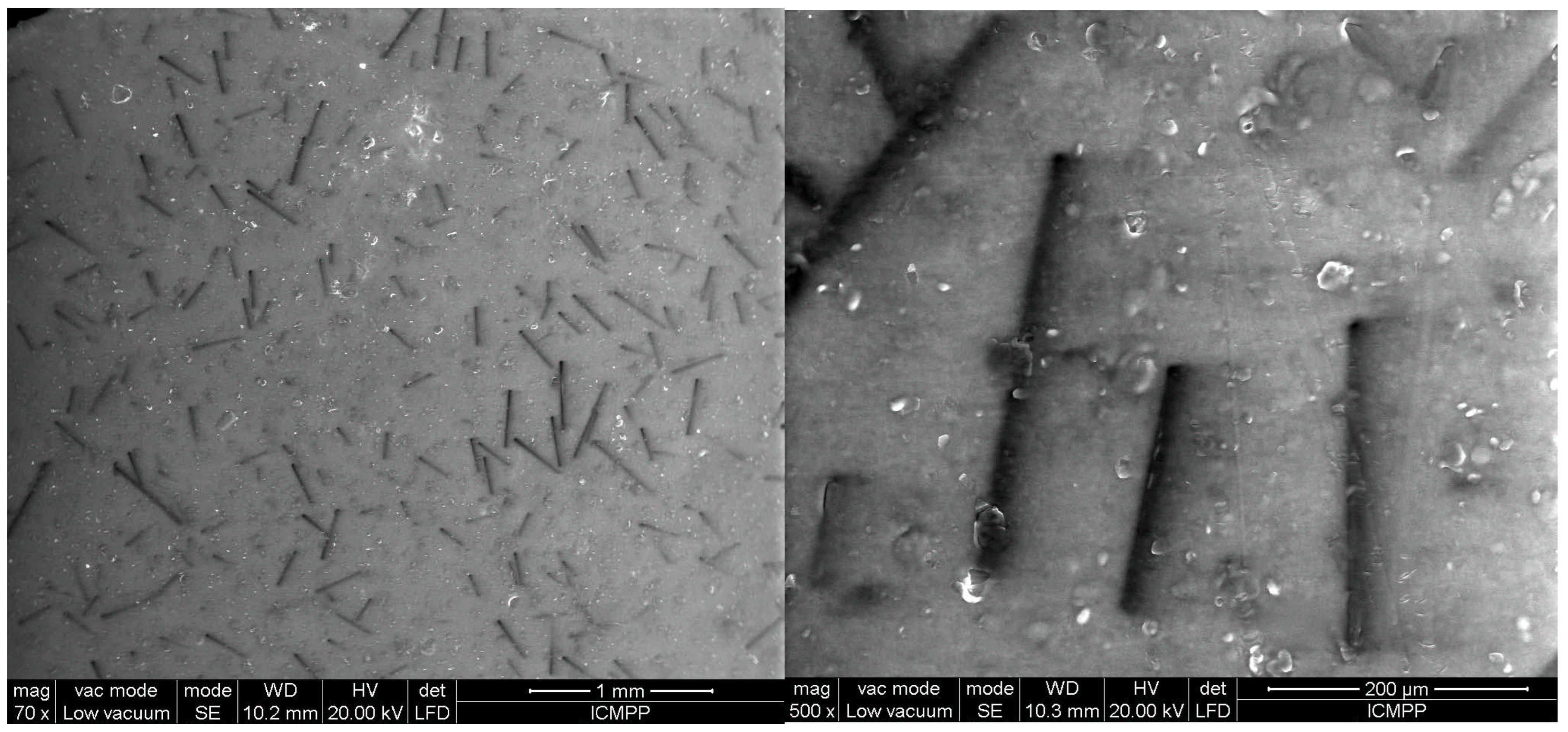 Polymers 17 00204 g008