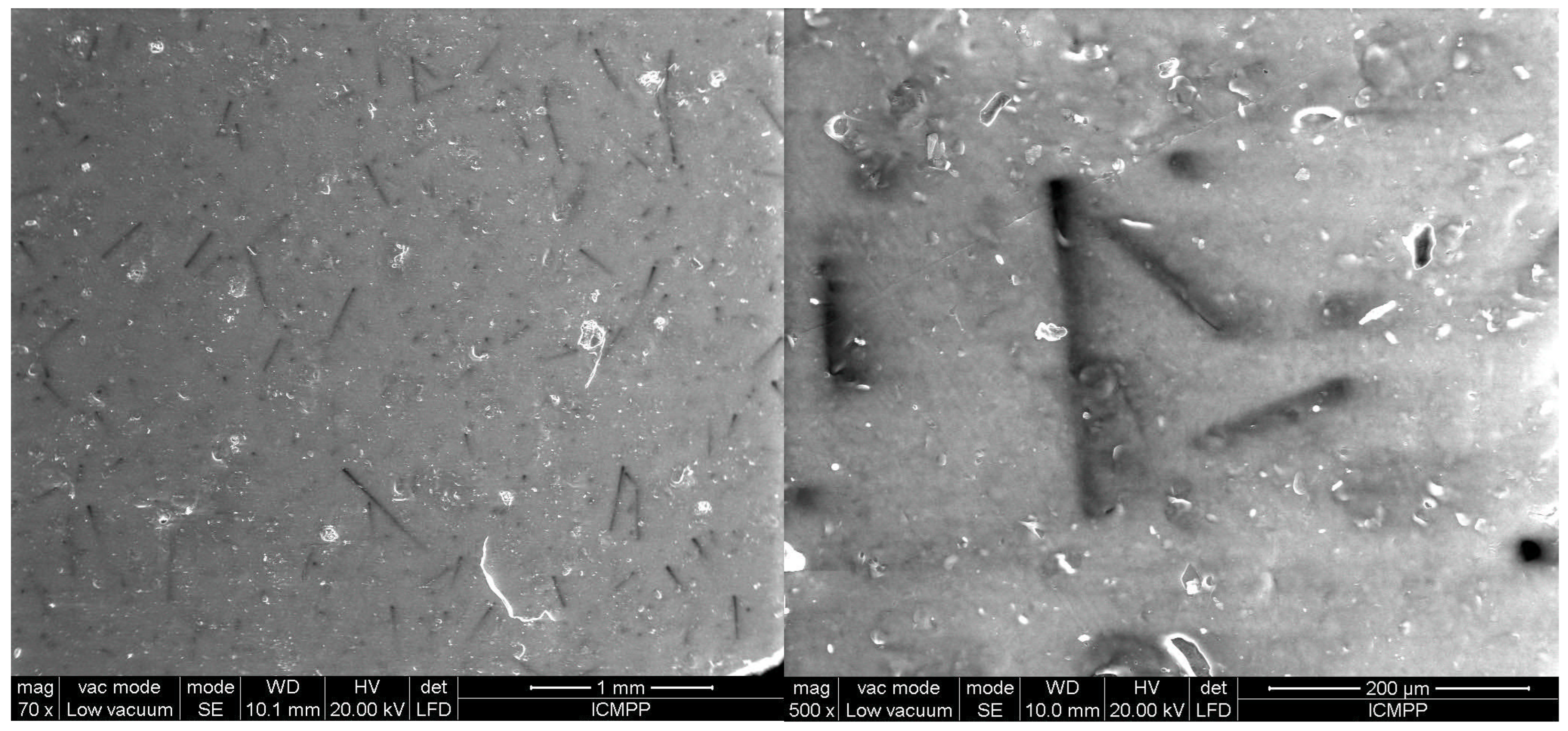 Polymers 17 00204 g009
