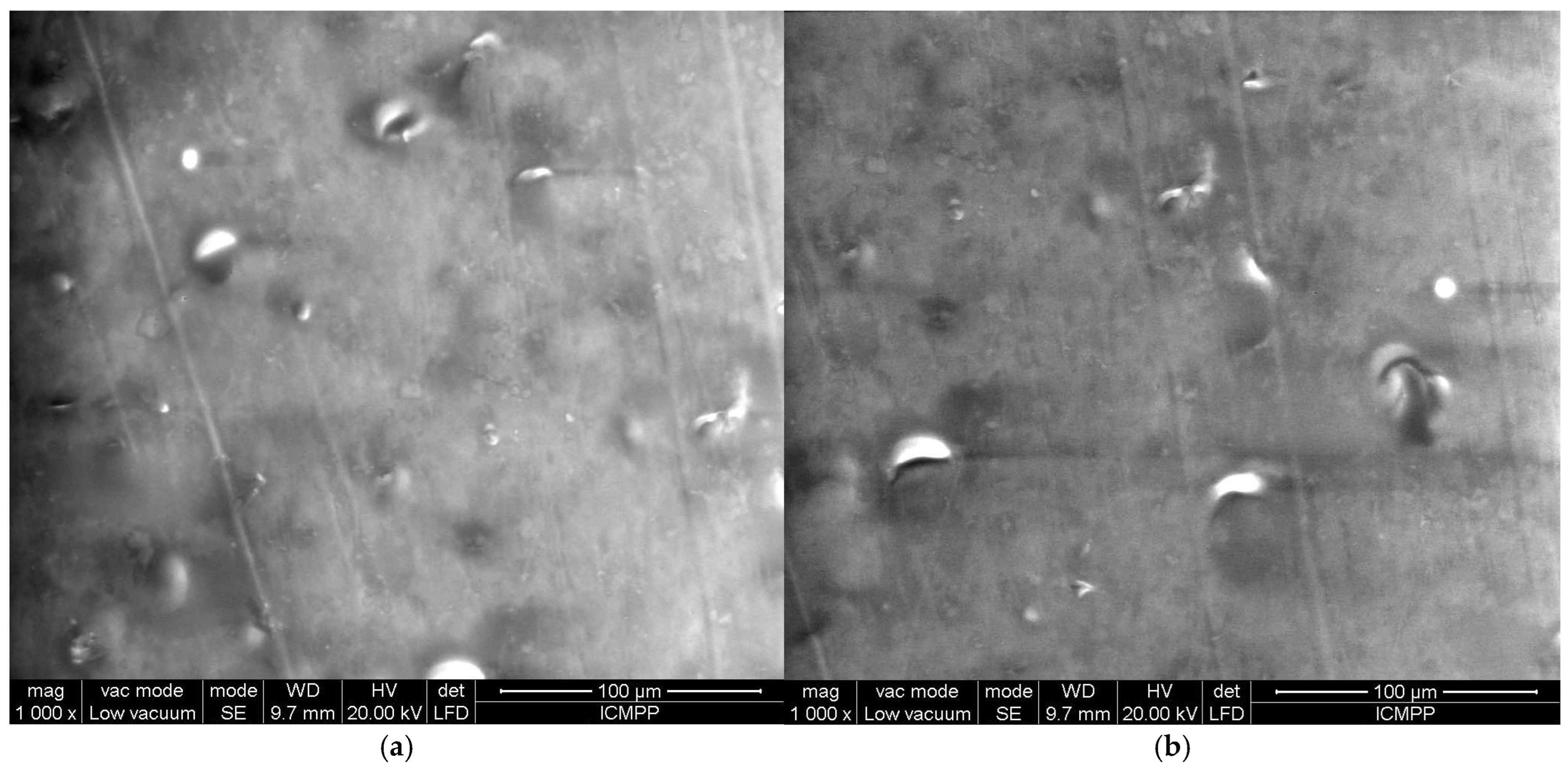 Polymers 17 00204 g012