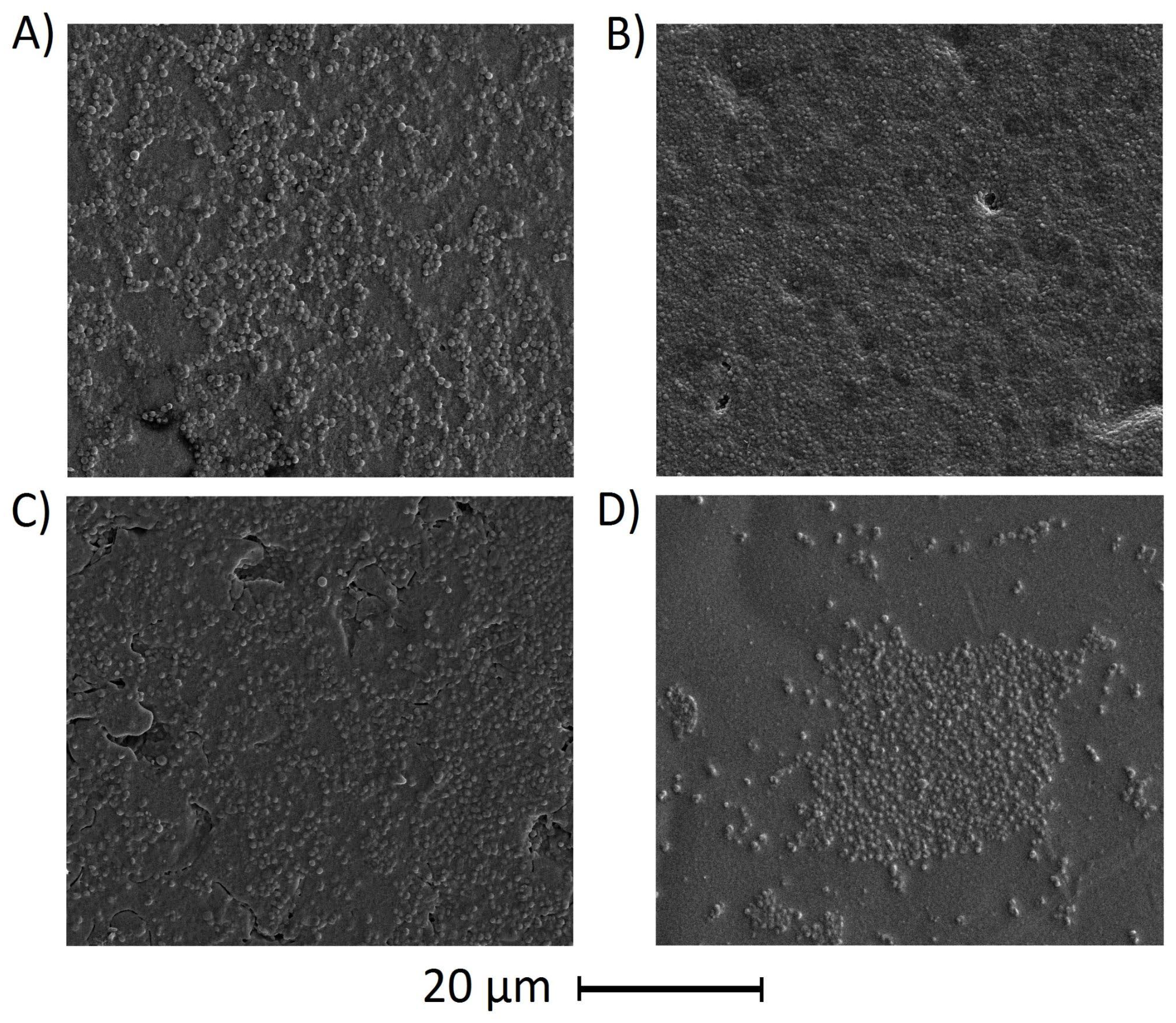 Polymers 17 00205 g004 Polymers 17 00205 g004