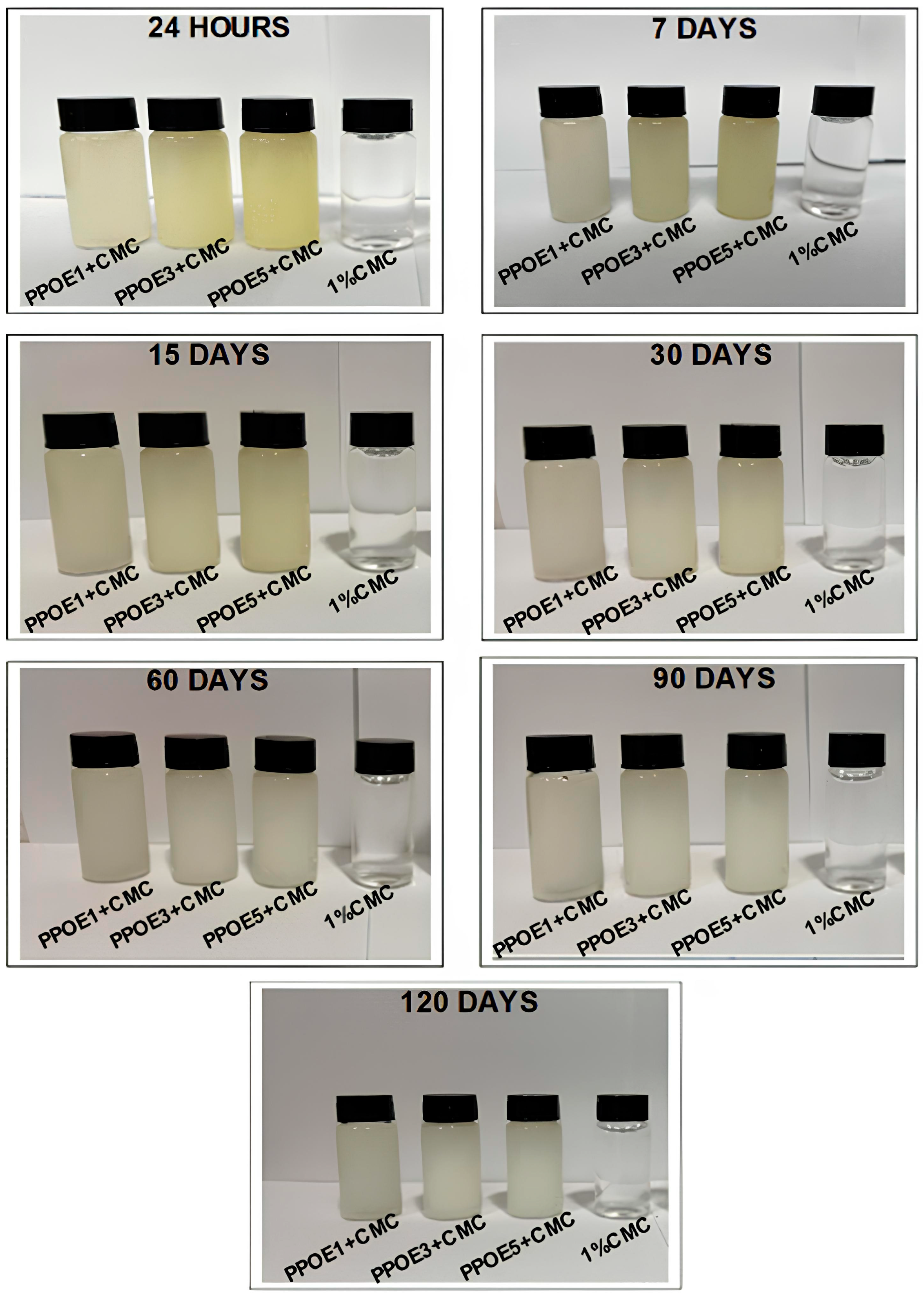 Polymers 17 00226 g003