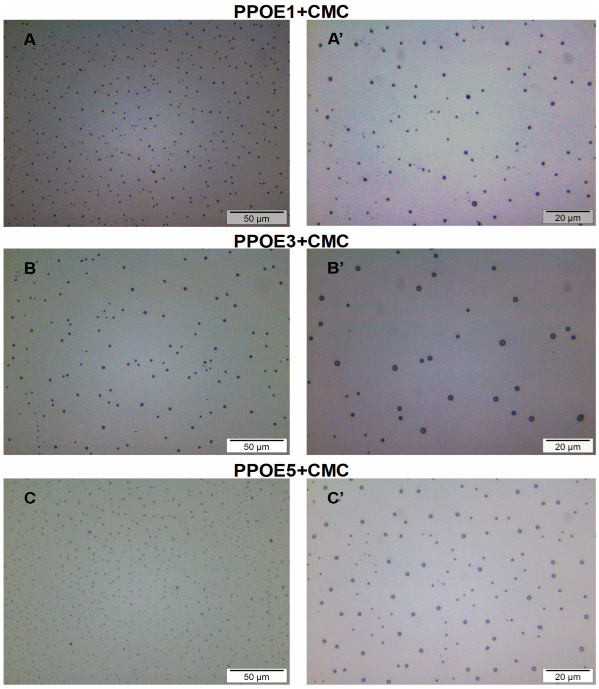 Polymers 17 00226 g005