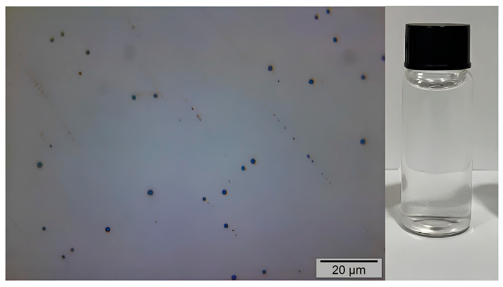 Polymers 17 00226 g006