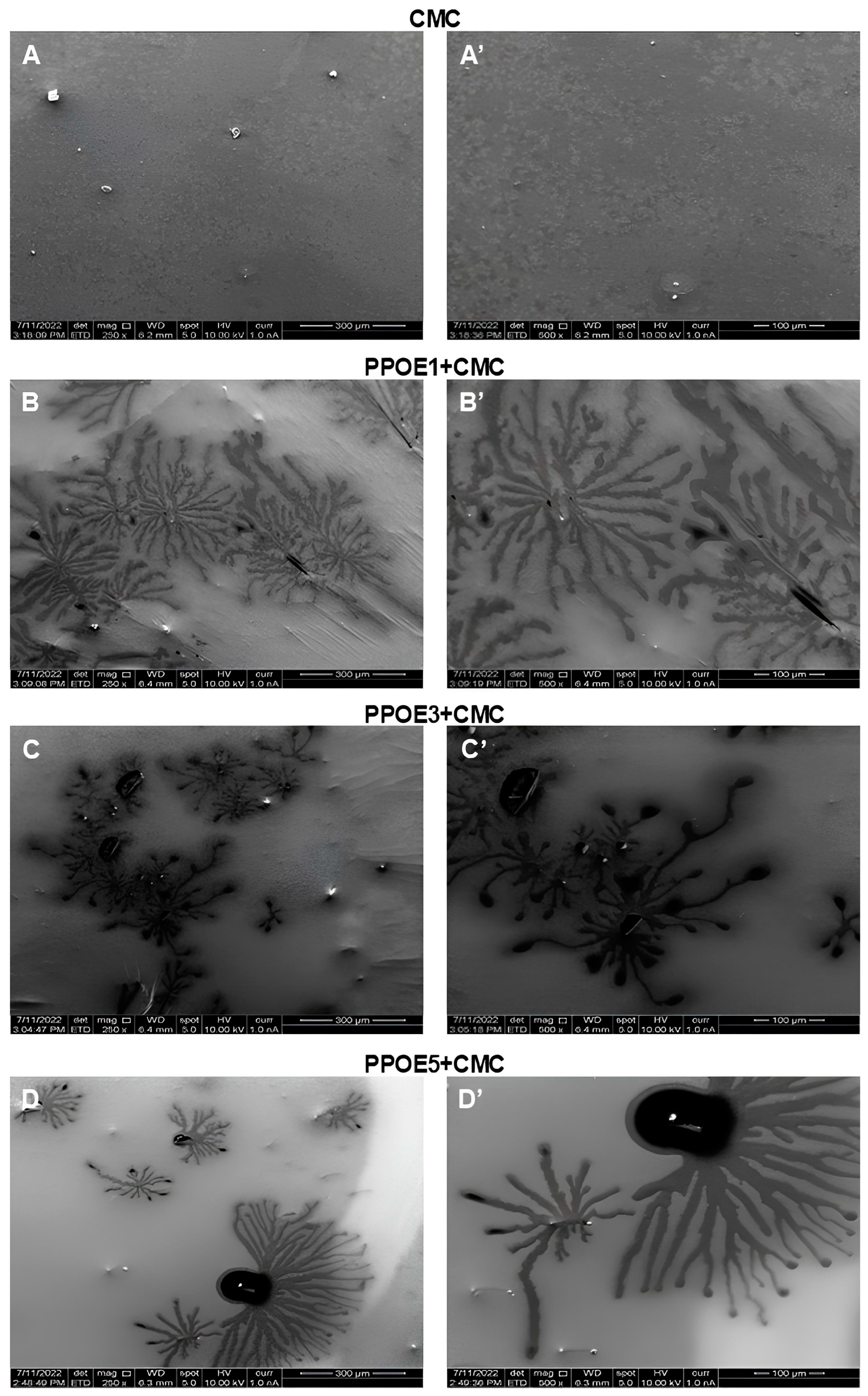 Polymers 17 00226 g010