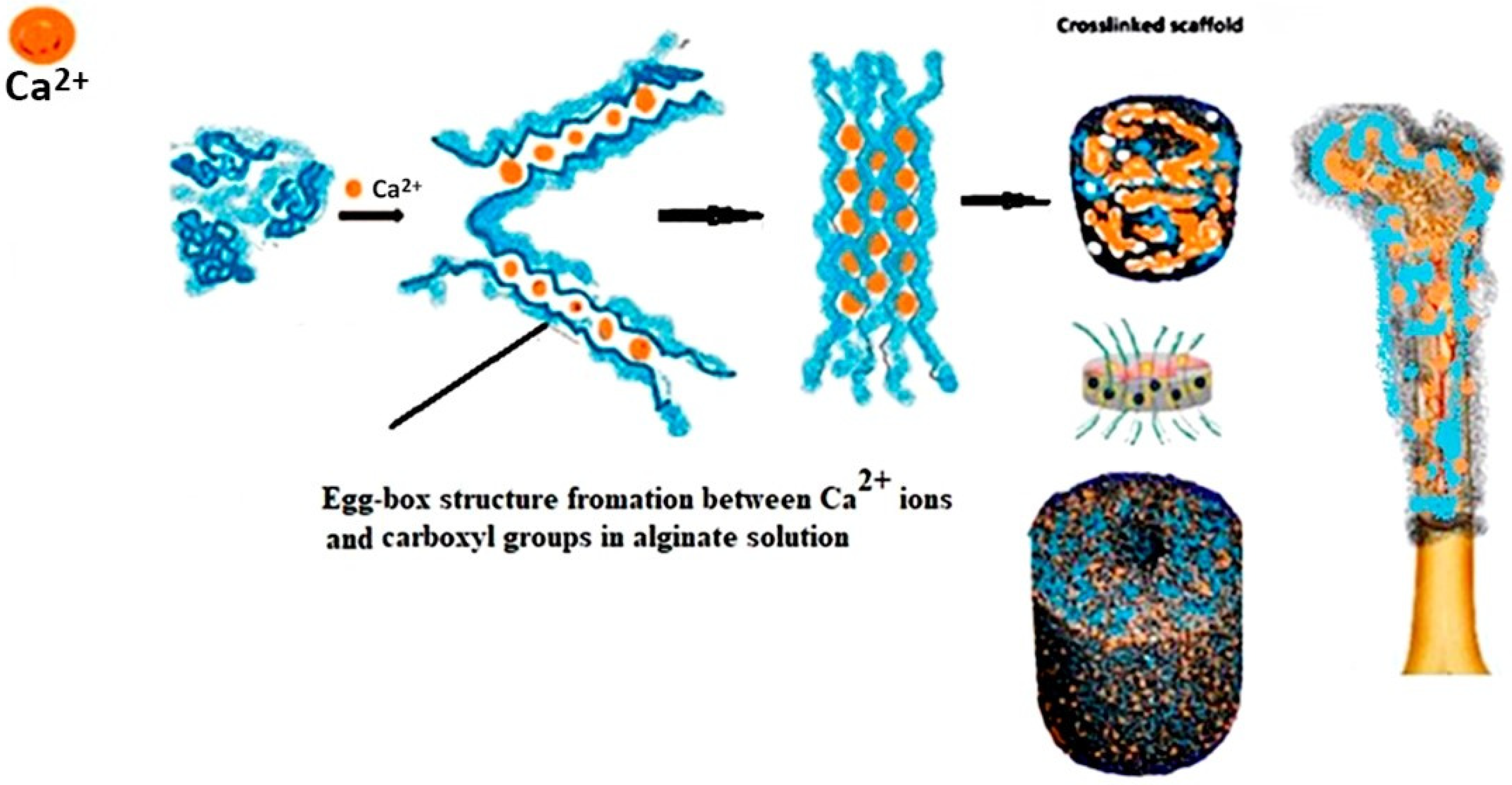 Polymers 17 00242 g001