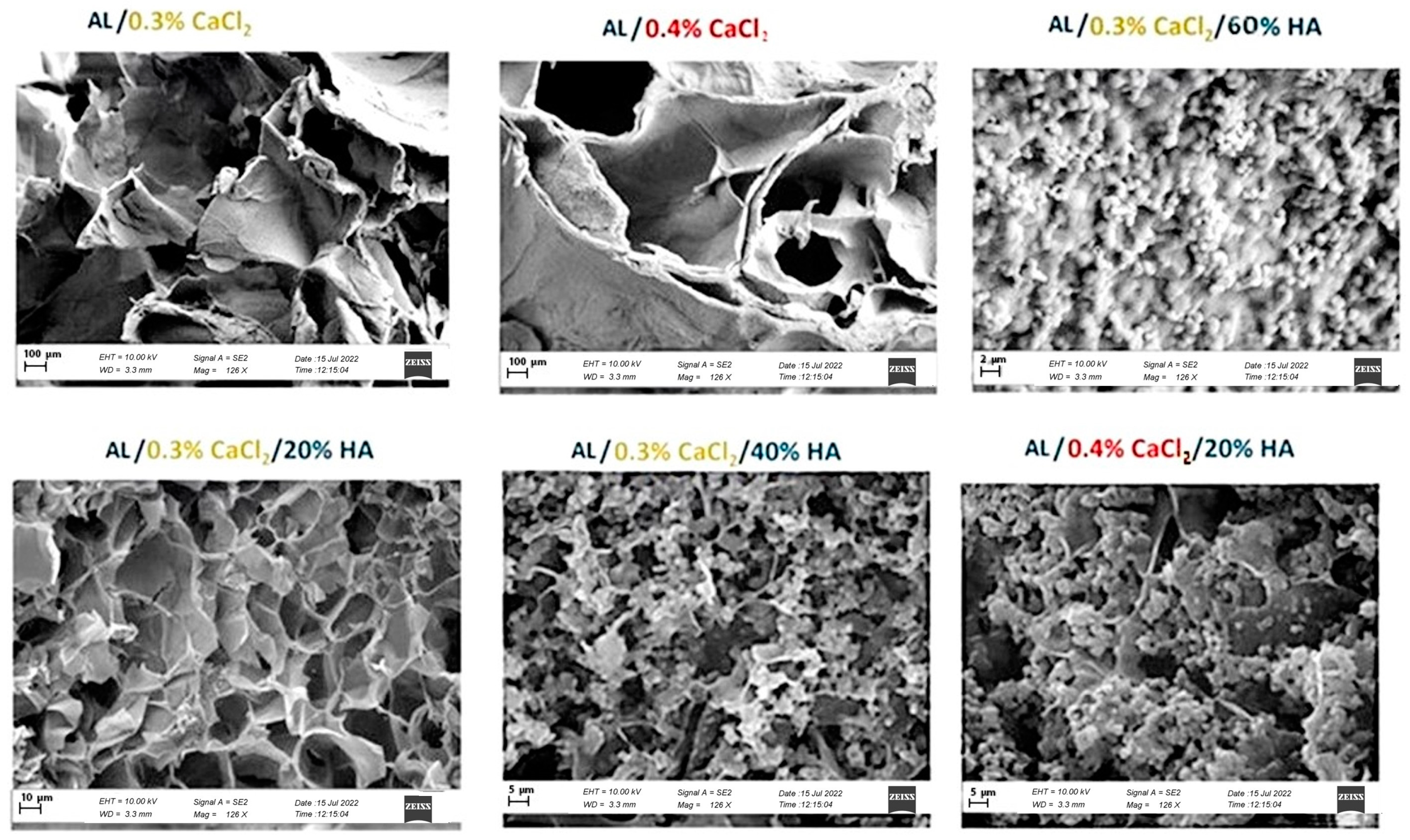 Polymers 17 00242 g013