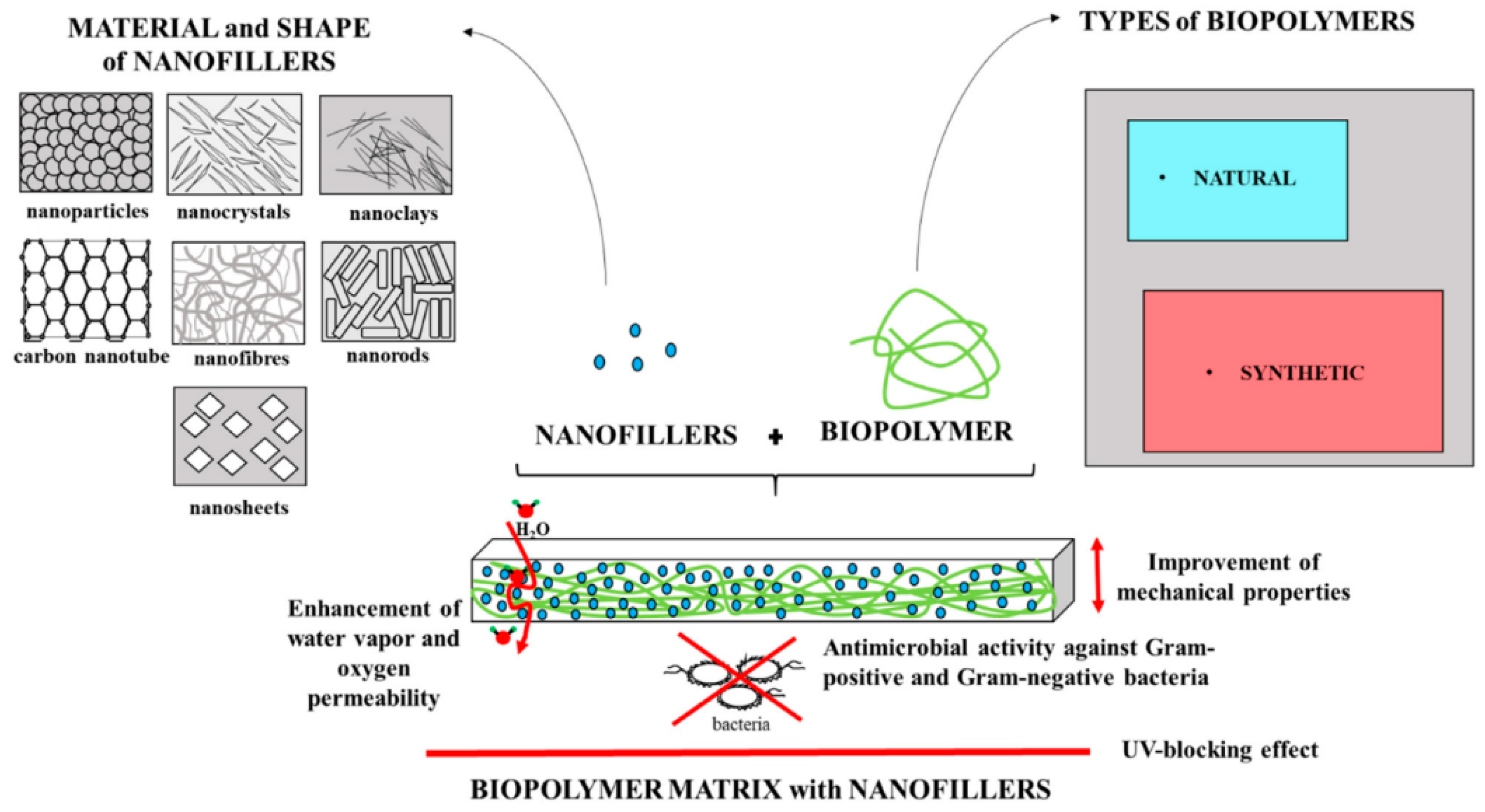 Polymers 17 00247 g001