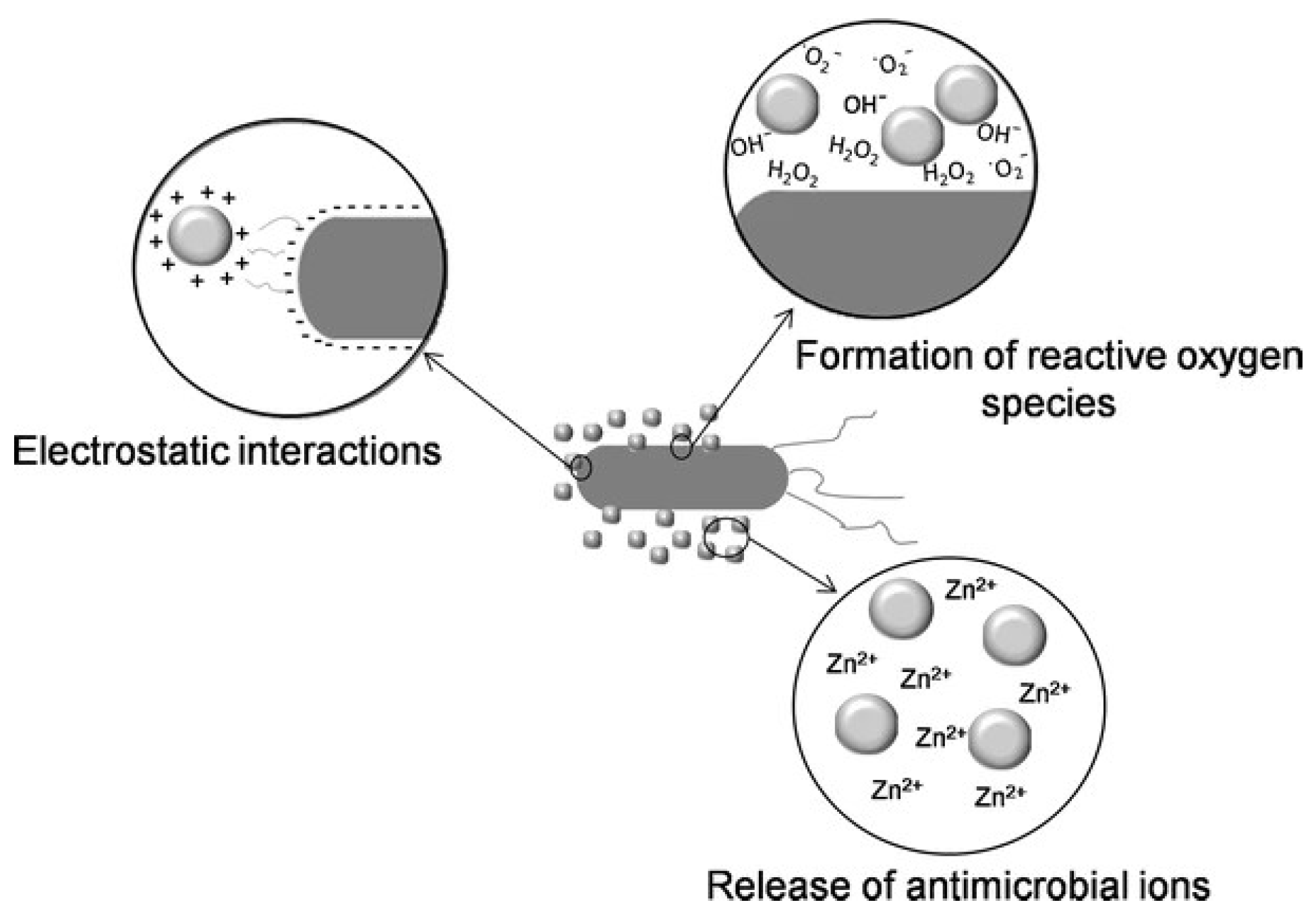 Polymers 17 00247 g003