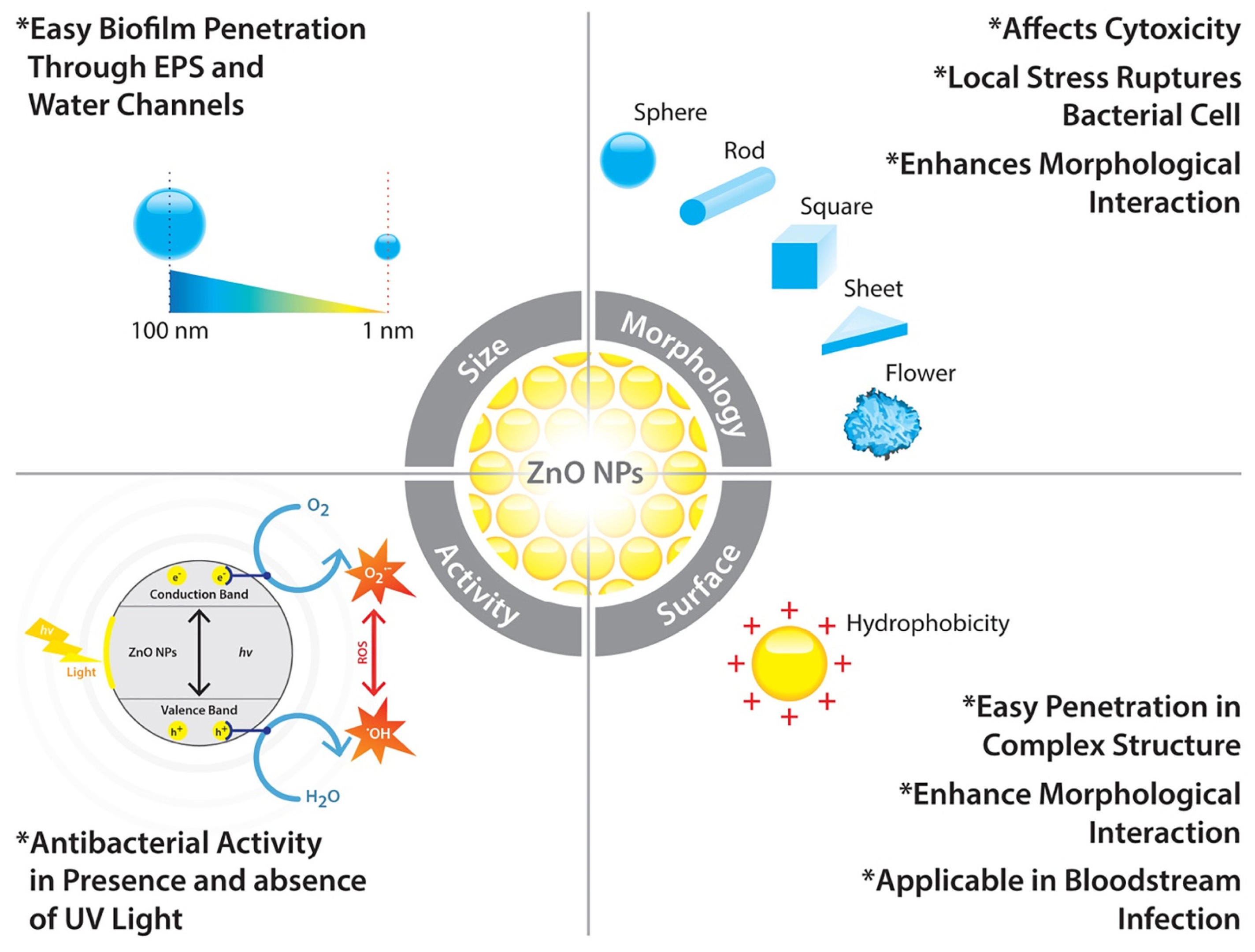 Polymers 17 00247 g004